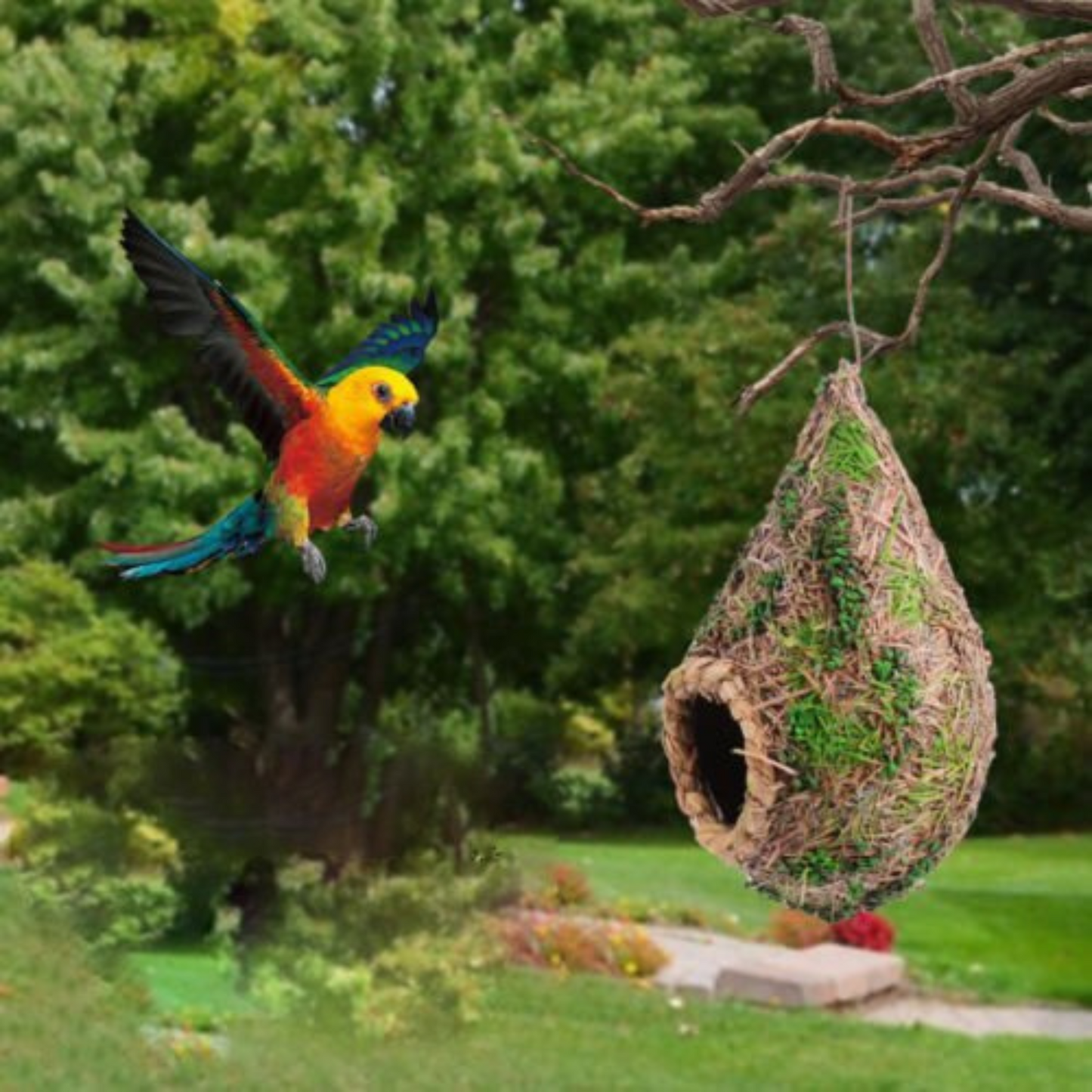3pcs Handwoven Straw Bird Nest Canary Budgie Breeding Nest Box