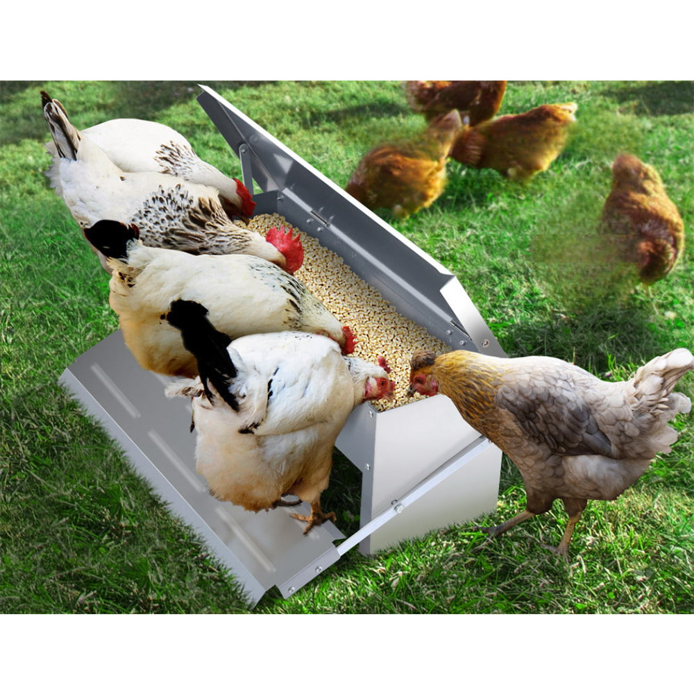 Auto Chicken Feeder Automatic Poultry Self Opening - 5KG Capacity
