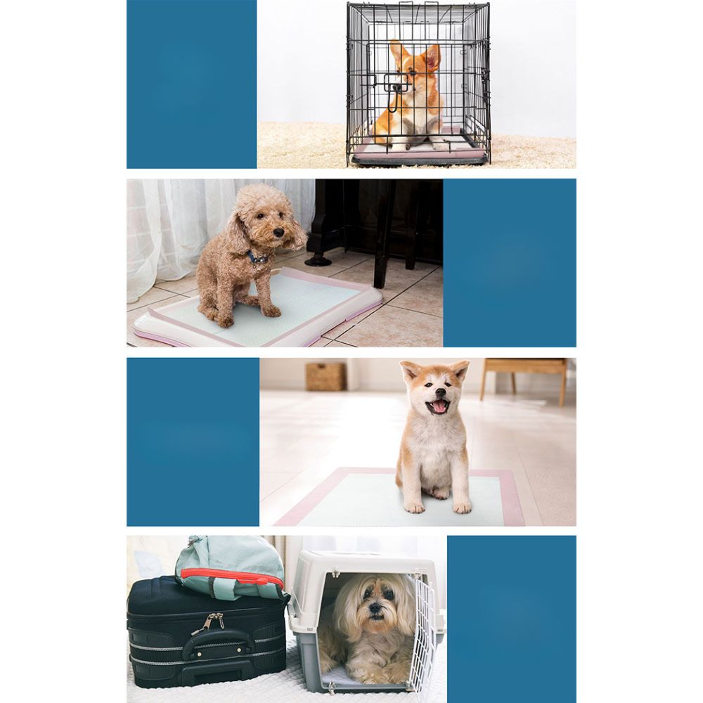 Pet Training Pads Puppy Dog Cat Toilet Indoor Super Absorbent - 400x
