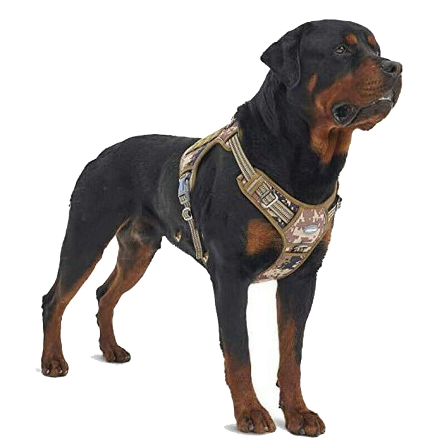 Adjustable No Pull Tactical Dog Harness for Military and Training