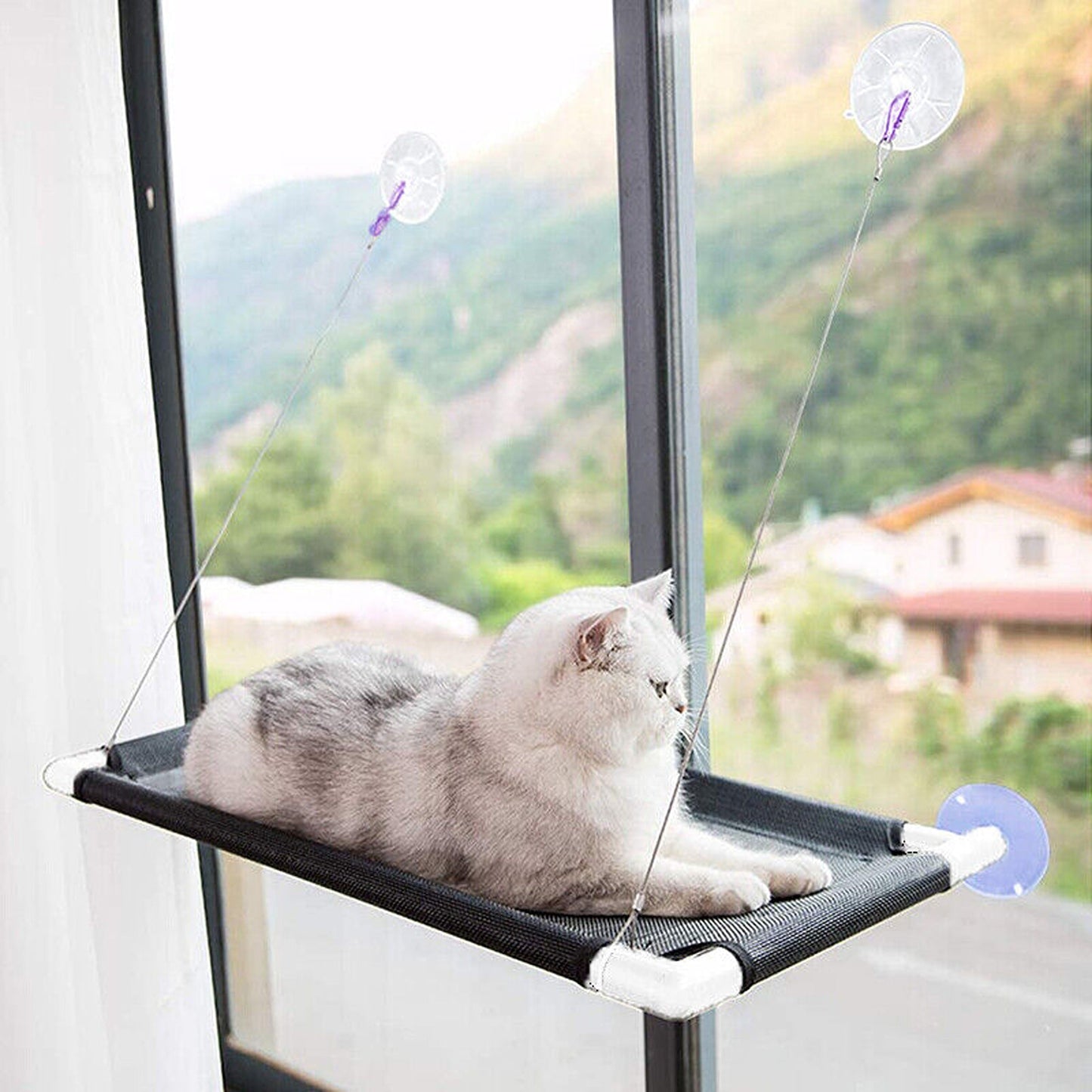 Cat Window Perch Hammock Strong Suction Up to 60lbs
