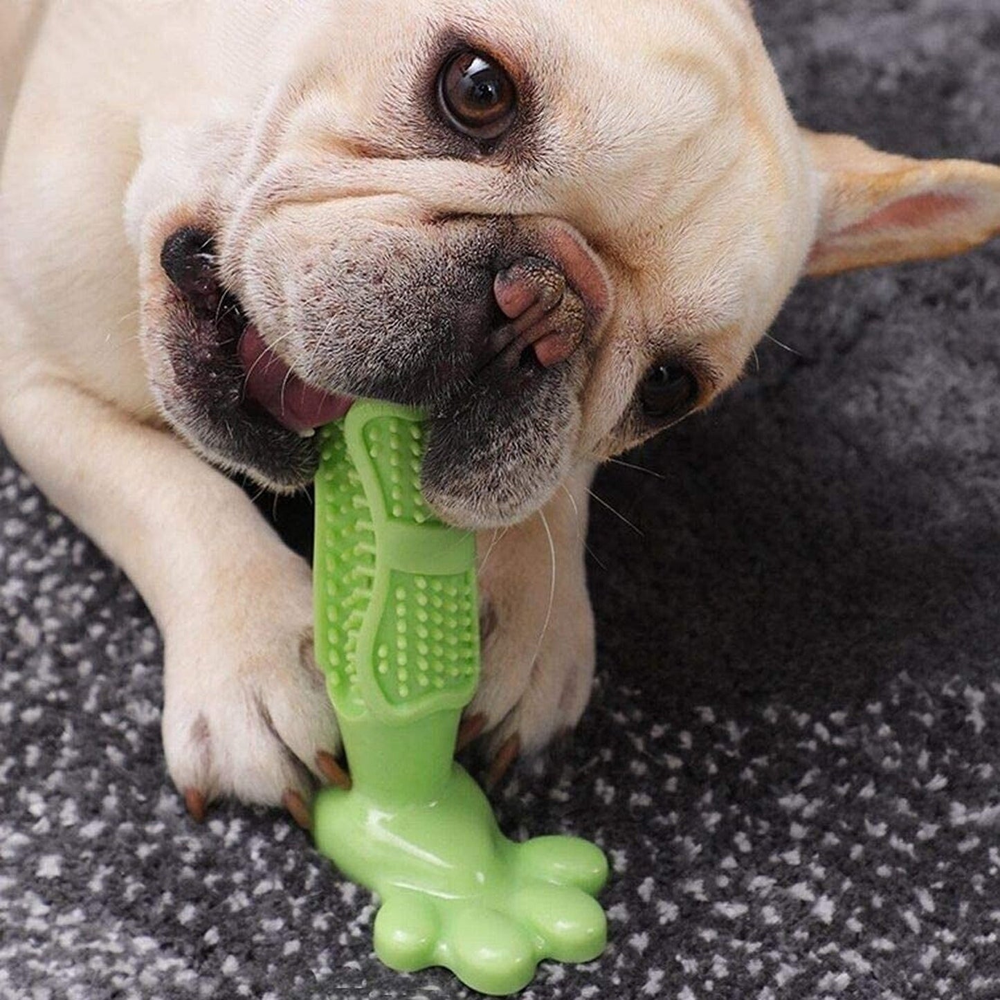 Chewable Dog Toothbrush Molars Brush for Pet Dental Health