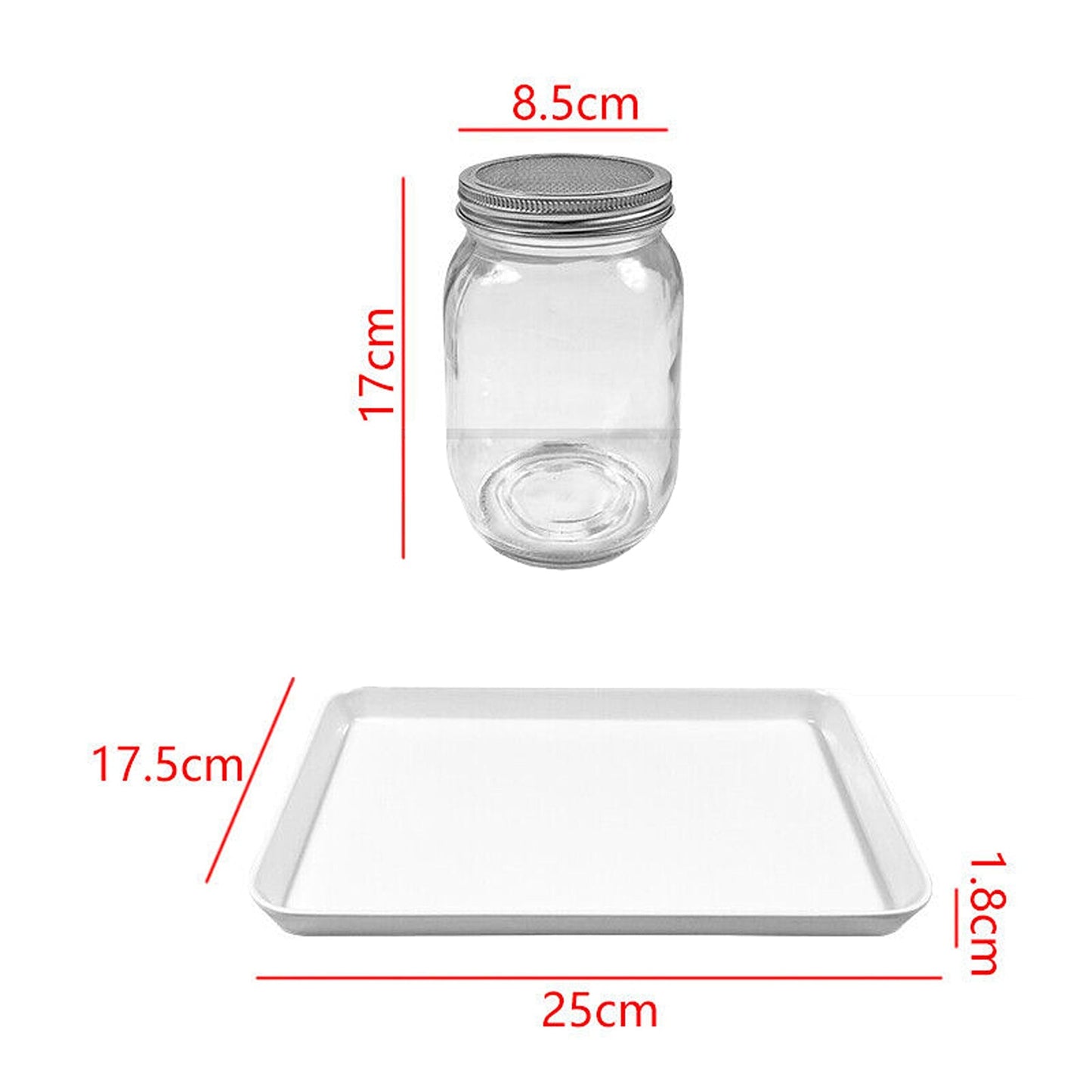 Mason Jar Seed Germination Kit with Sprouter Lids and Stands - 2 Sets