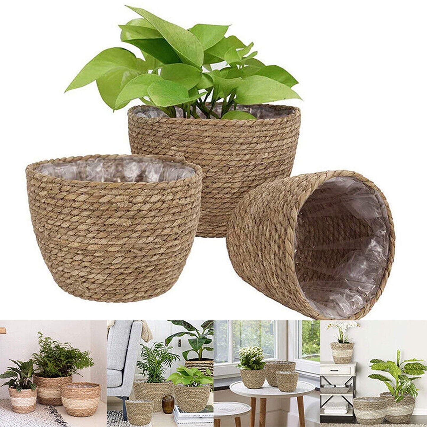 Indoor/Outdoor Grass Planter Basket Home Plant Container for Flowers