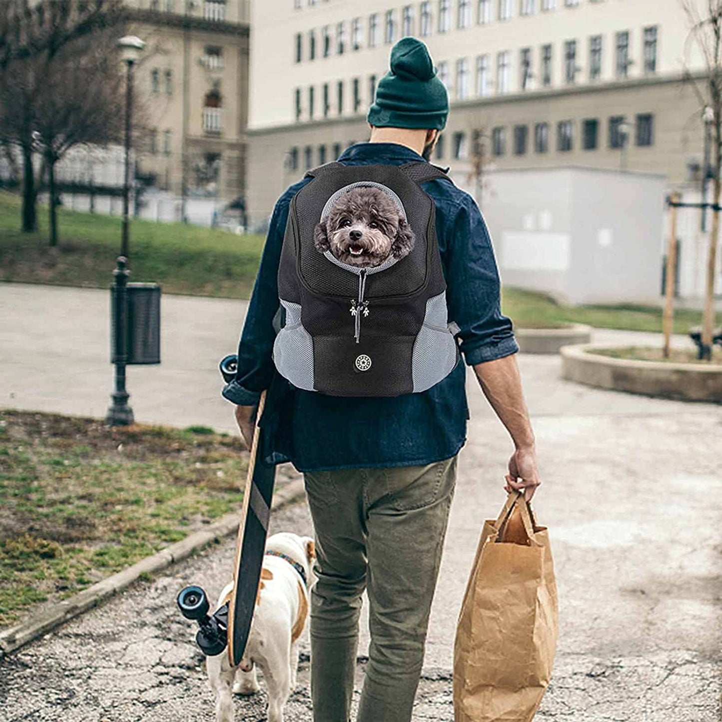 Black Mesh Portable Pet Backpack Travel Dog Carrier