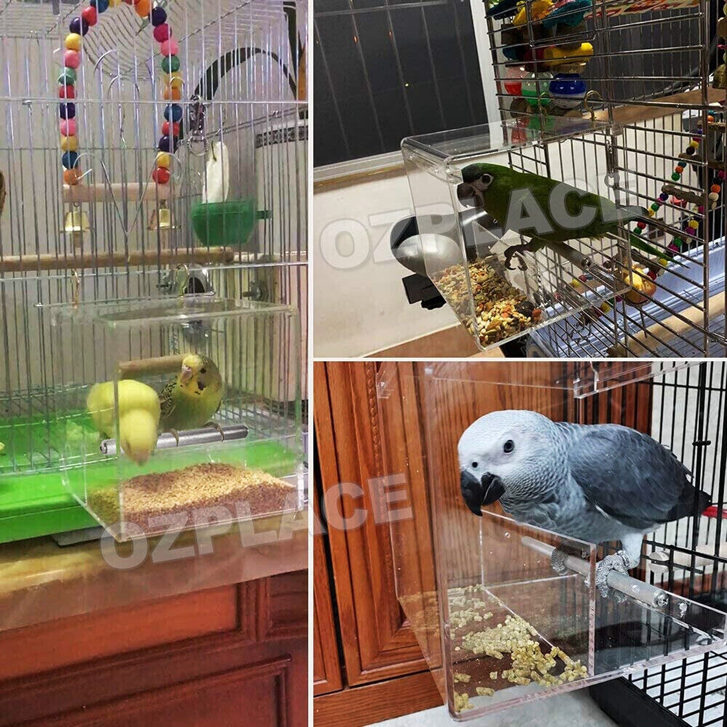No Mess Bird Cage Feeder Automatic Parrot Seed Container Box