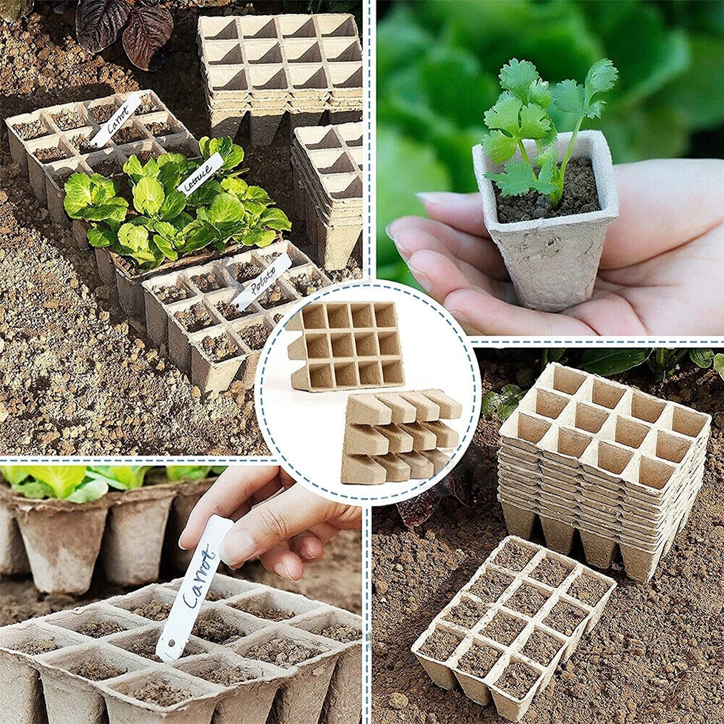 Biodegradable Paper Seedling Trays Garden Nursery Seed Pots