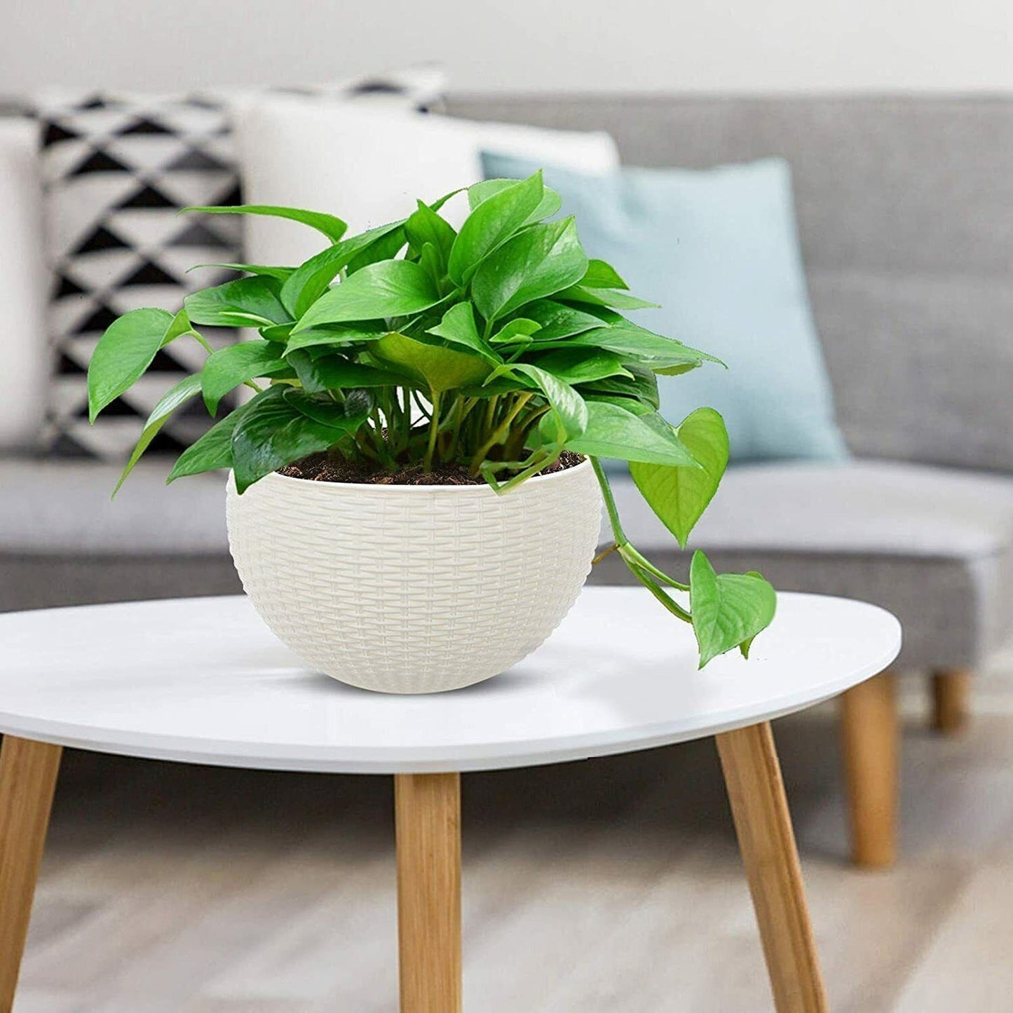 2pcs White Landen Rattan Hanging Plant Pots Flower Baskets Wall Garden Planters