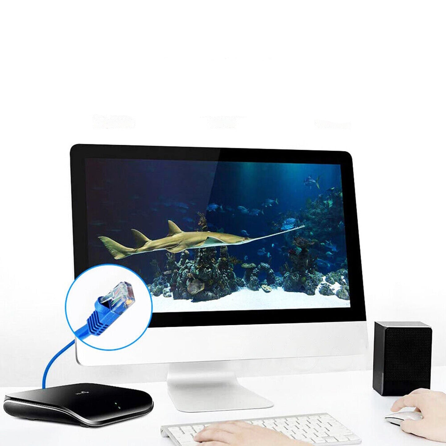 100M Cat6 Network Ethernet Cable 1000Mbps Lan for Home and Office