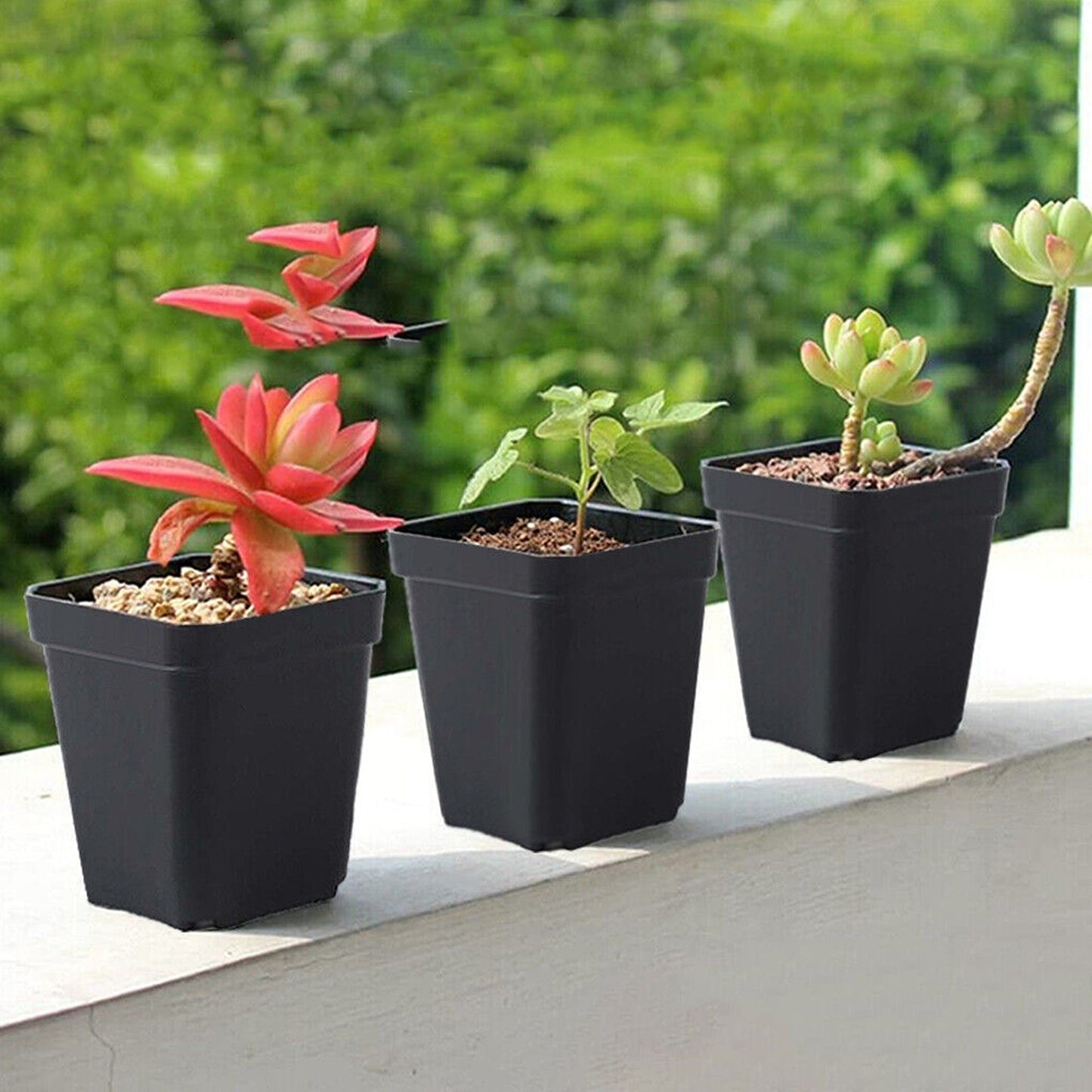 Seedling Nursery Pots Plastic Plant and Flower Containers for Garden