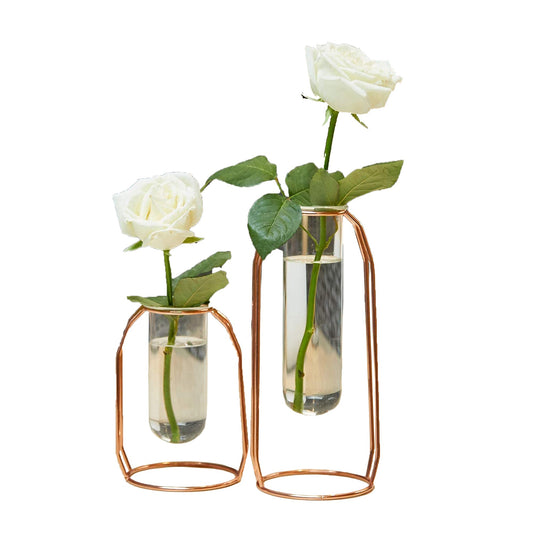 Set of 2 Metal Glass Flower Vase Planter Terrariums Cylinder Vase Home Decor - Rose Gold