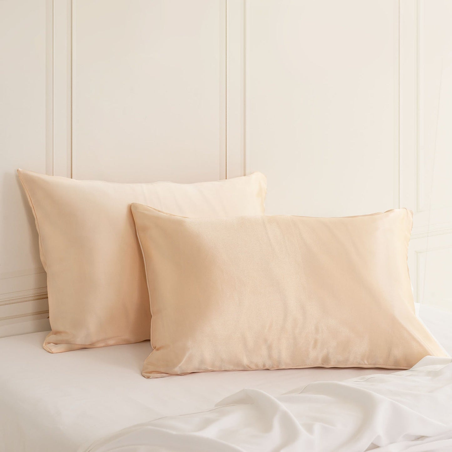 Hypoallergenic Mulberry Silk Pillowcase Twin Pack Soft and Comfortable