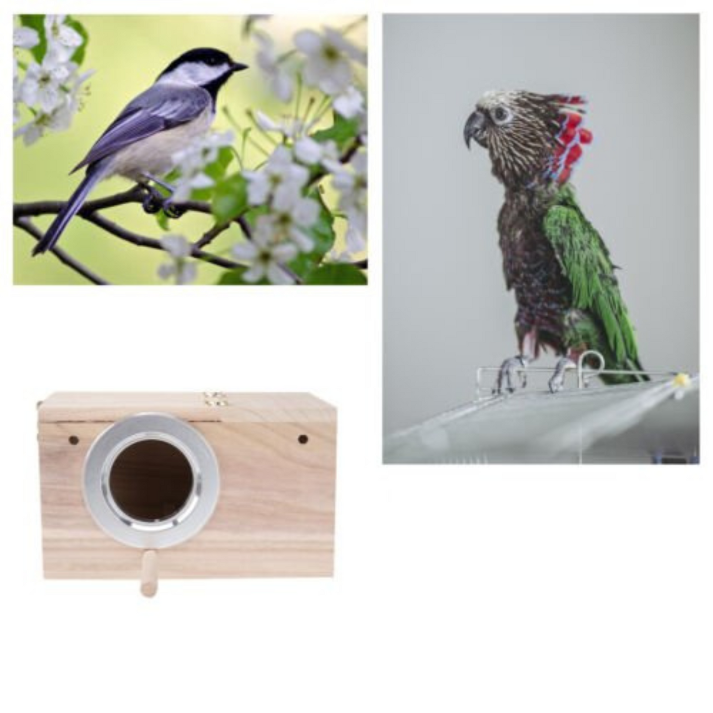 Parrot Breeding Wooden Nest Box Small Bird Budgie House Cage Home