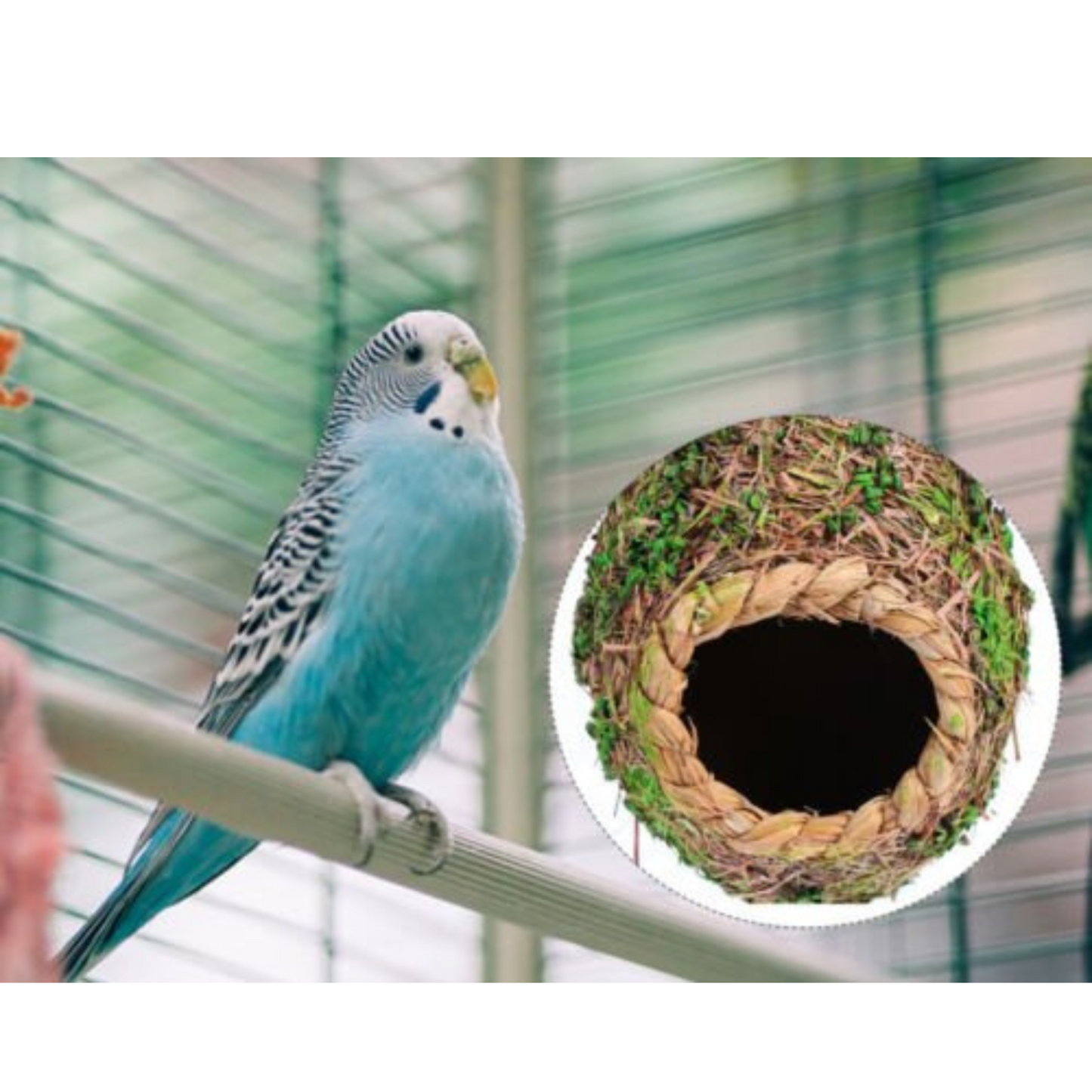 3pcs Handwoven Straw Bird Nest Canary Budgie Breeding Nest Box