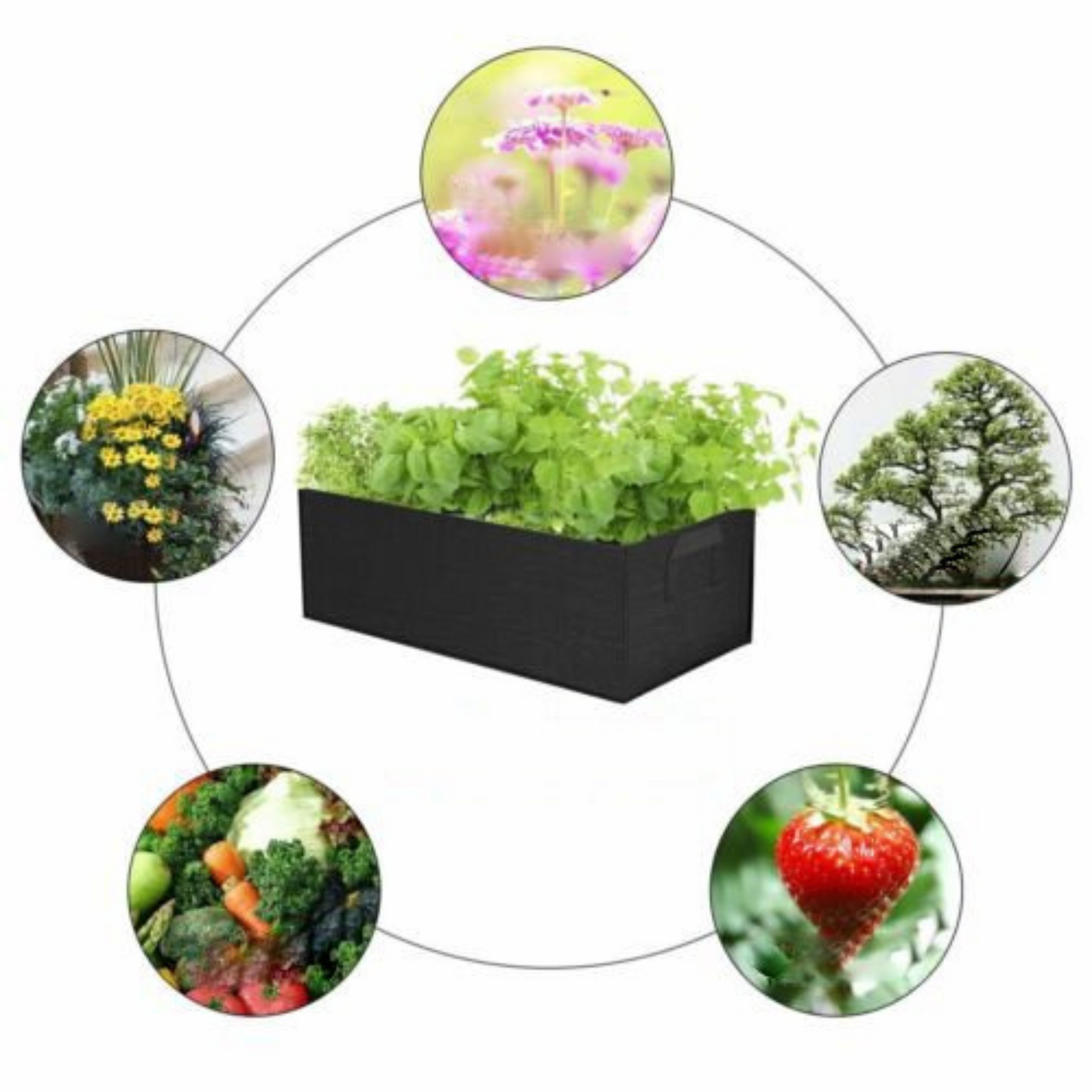 Fabric Potato Grow Bag Garden Planter Container for Root Plant Growing