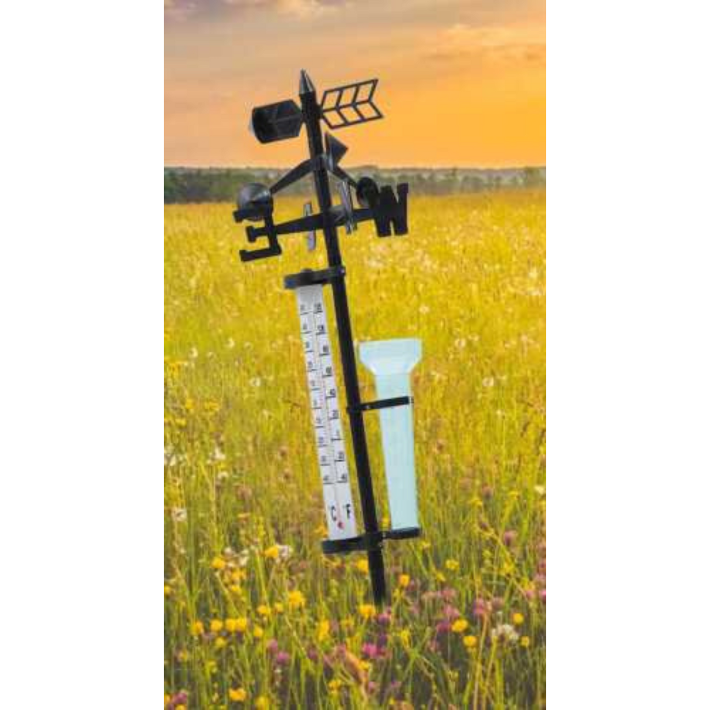 Outdoor Garden Weather Station Meteorological Measurer with Wind Vane and Rain Gauge