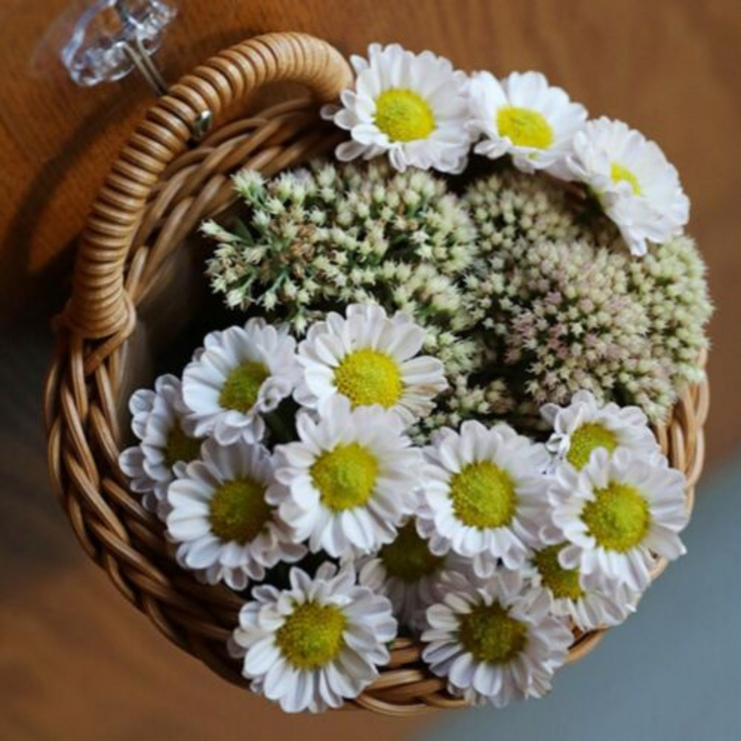 Handmade Wicker Rattan Basket Wall Hanging Planter for Home Decor
