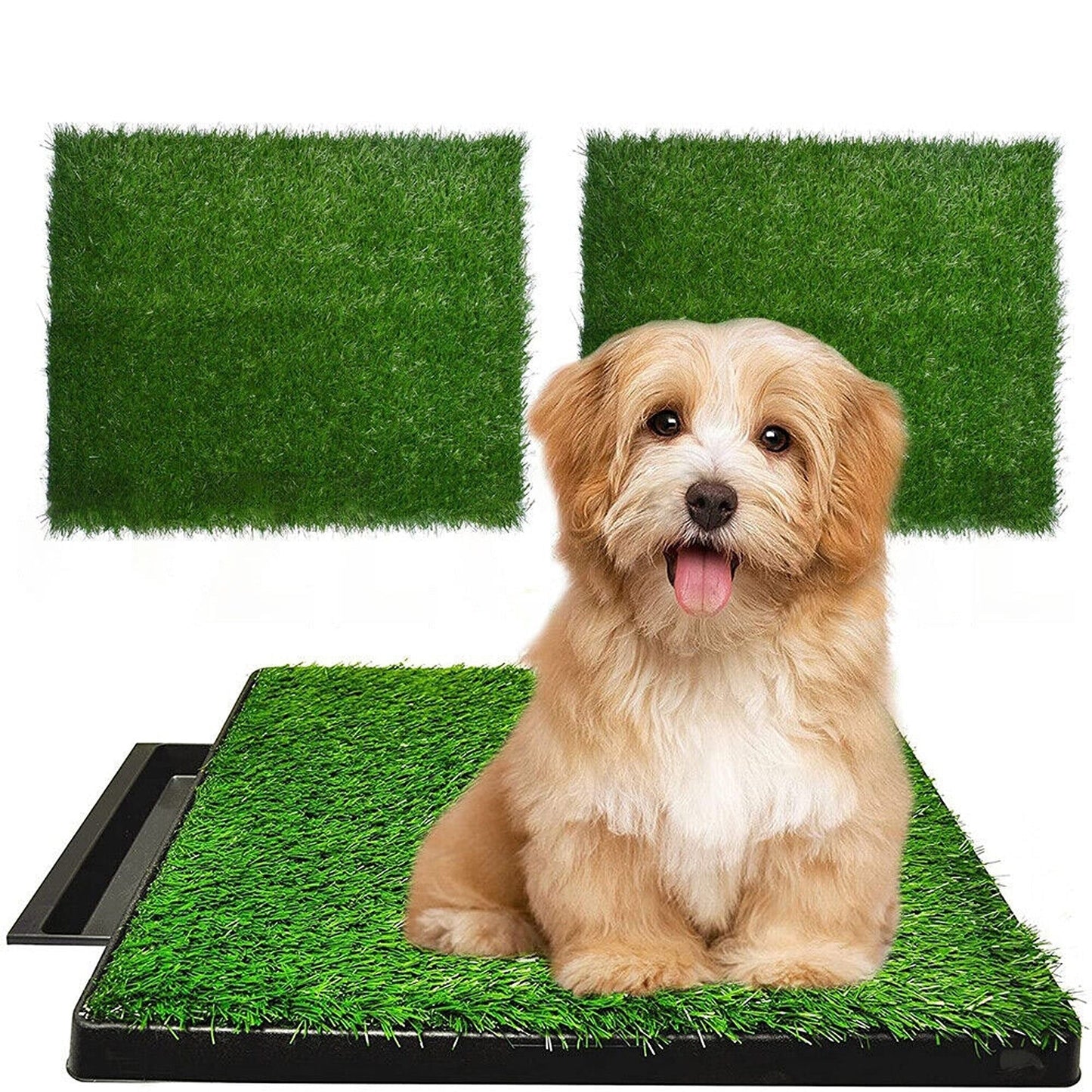 Indoor Dog Potty Training Toilet with Large Grass Mat Tray