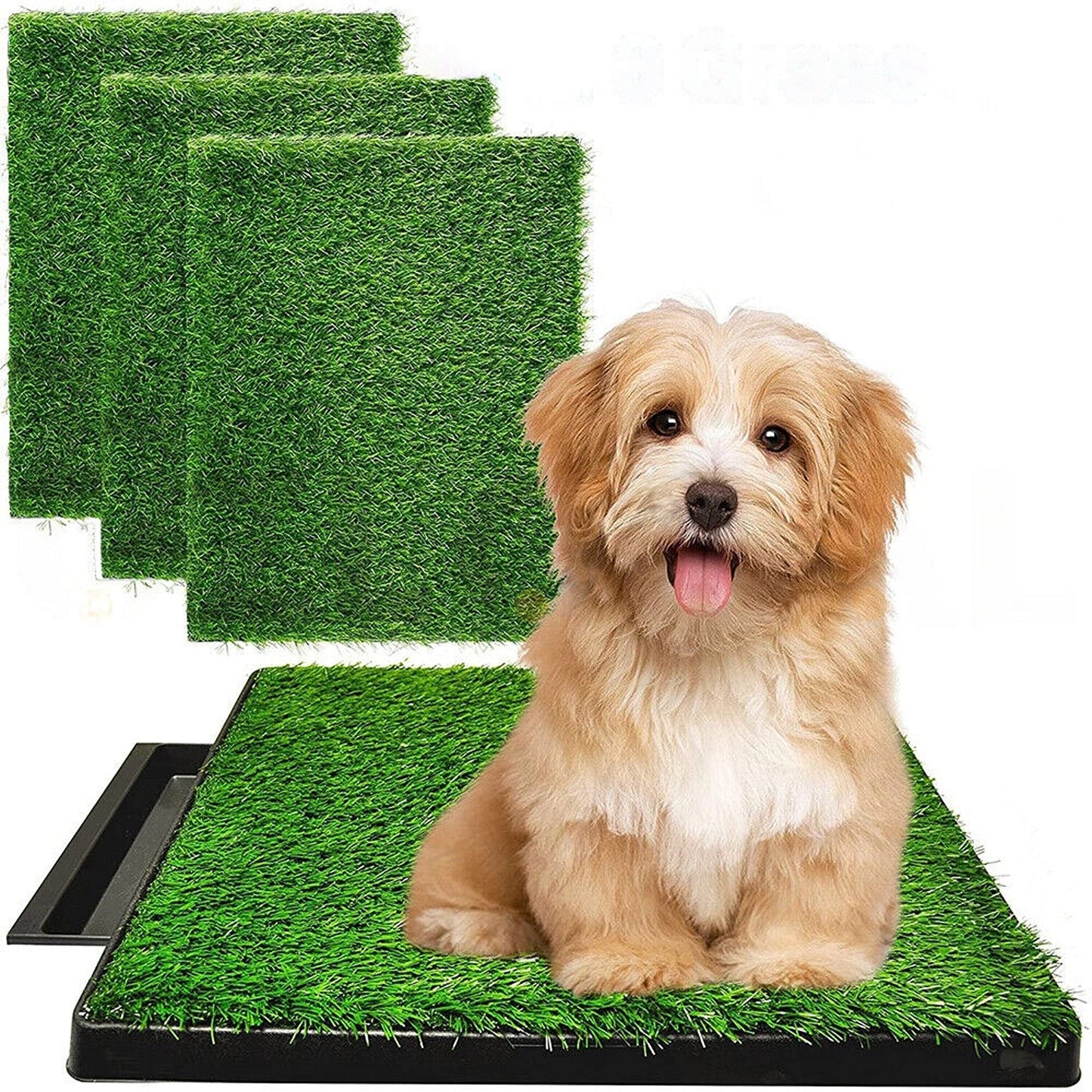 Indoor Dog Potty Training Toilet with Large Grass Mat Tray