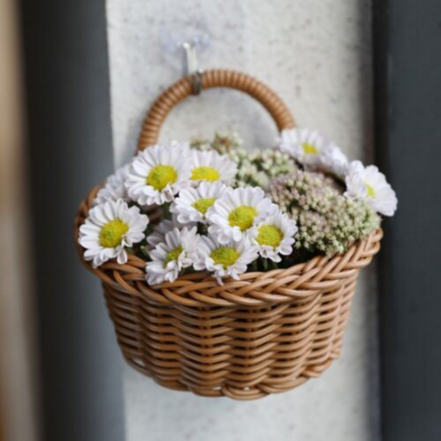 Handmade Wicker Rattan Basket Wall Hanging Planter for Home Decor