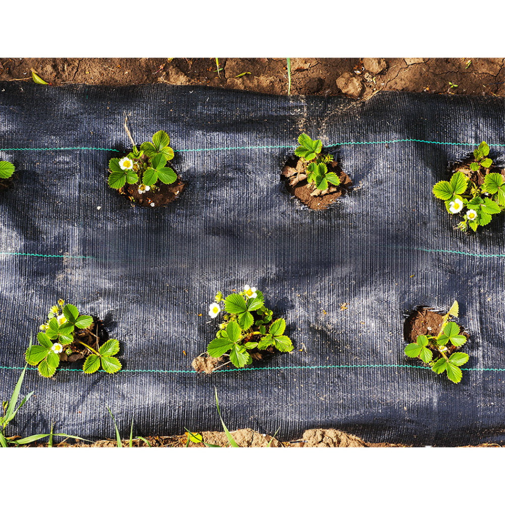 Home Garden Weed Control Plant Mat Woven Fabric - 200m