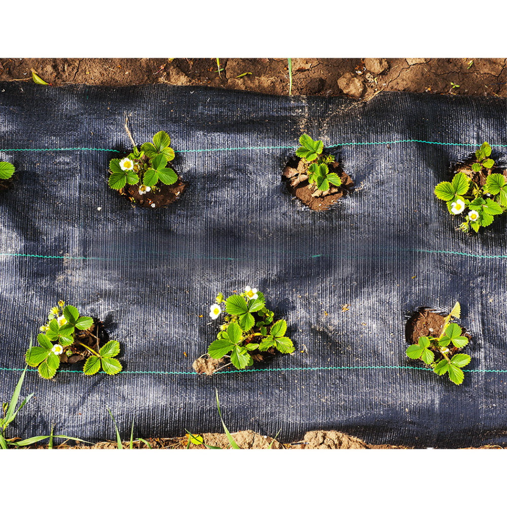 Weed Control Mat Woven Fabric Gardening Plant - 1.83x30m