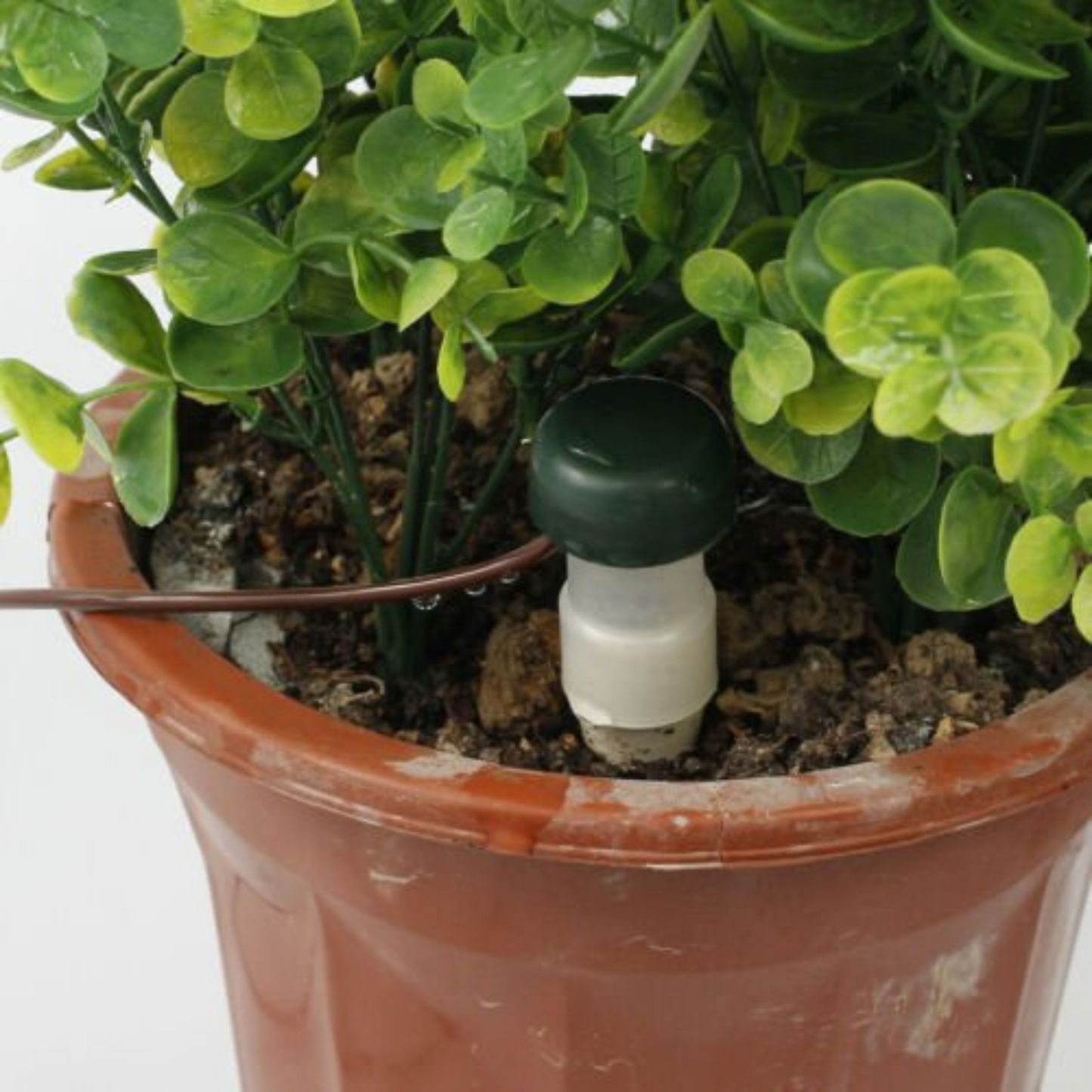 10pcs Automatic Watering System Garden Plant Self Watering Spikes