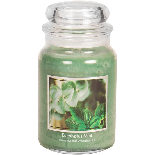 Eucalyptus Mint Glass Jar Apothecary Scented Candle 21.25 oz - Green