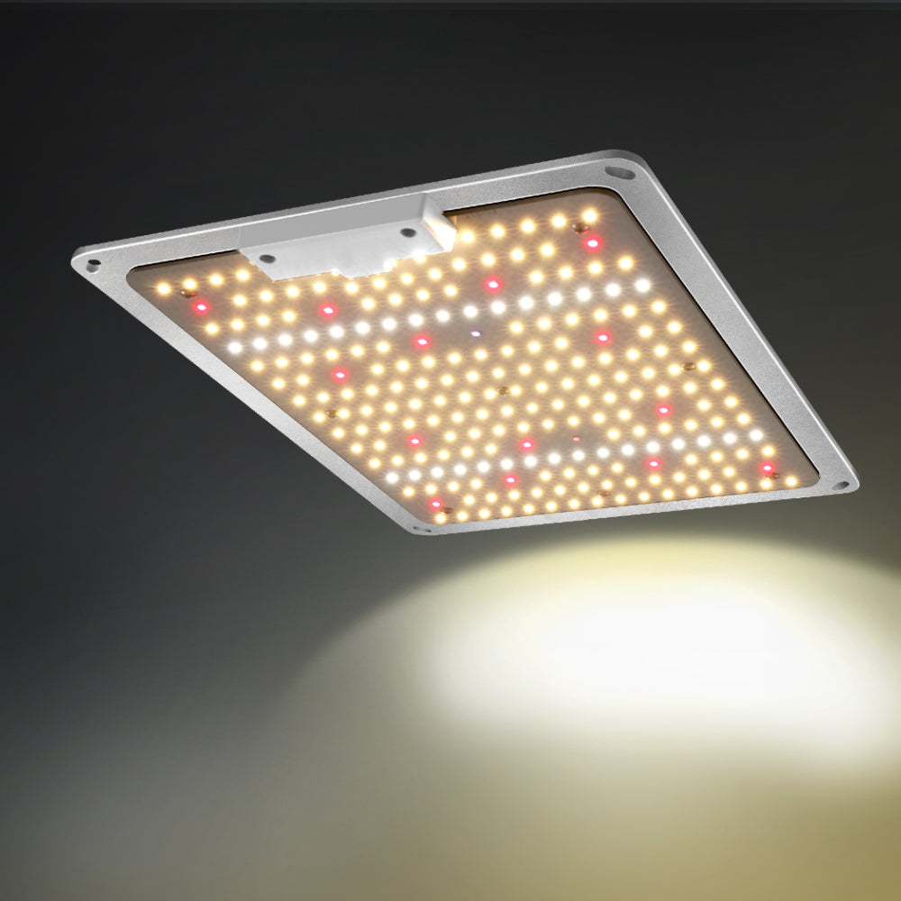 1000W LED Grow Light Full Spectrum Indoor Veg Flower All Stage