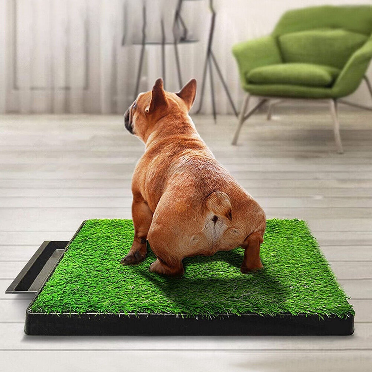 Indoor Dog Potty Training Toilet with Large Grass Mat Tray