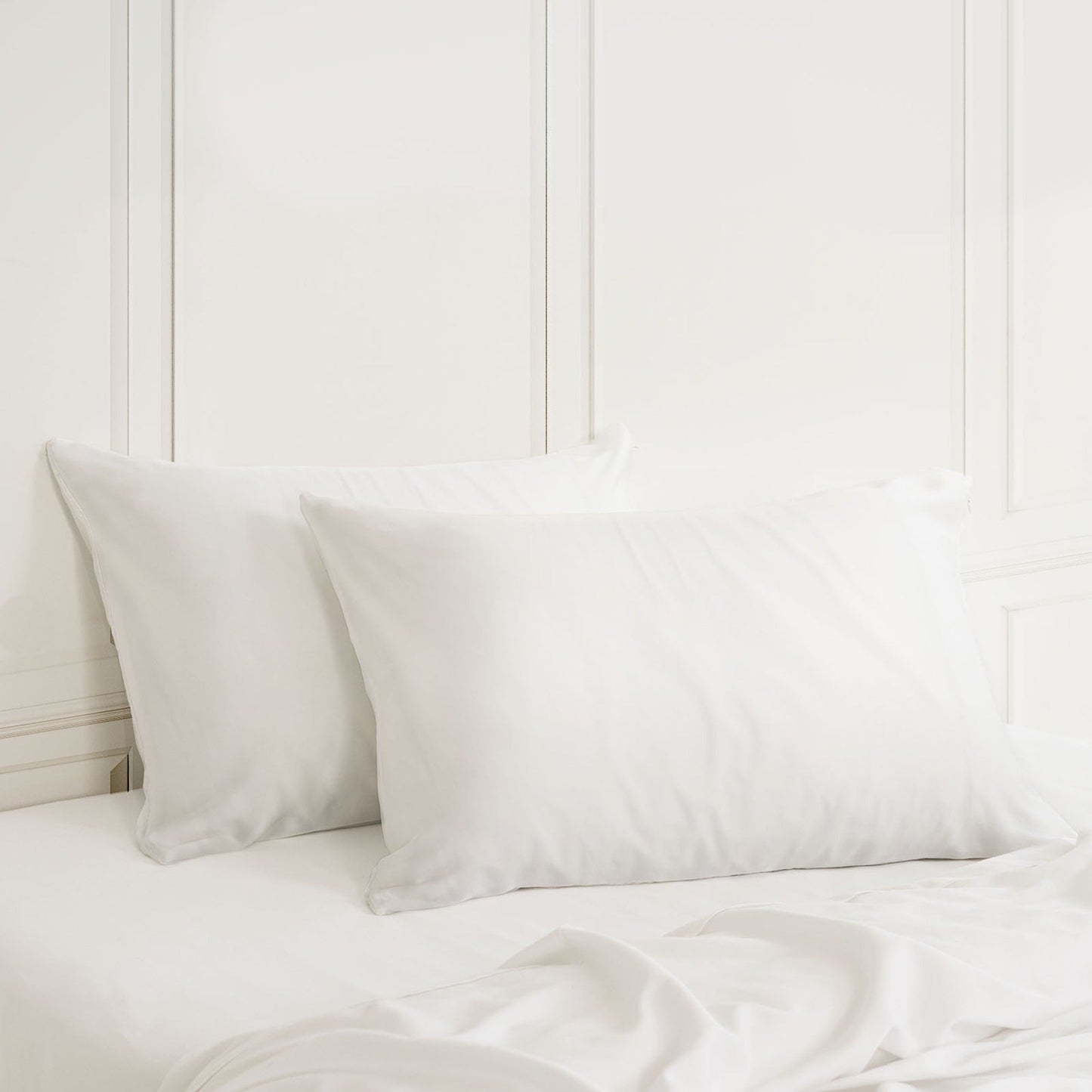Hypoallergenic Mulberry Silk Pillowcase Twin Pack Soft and Comfortable