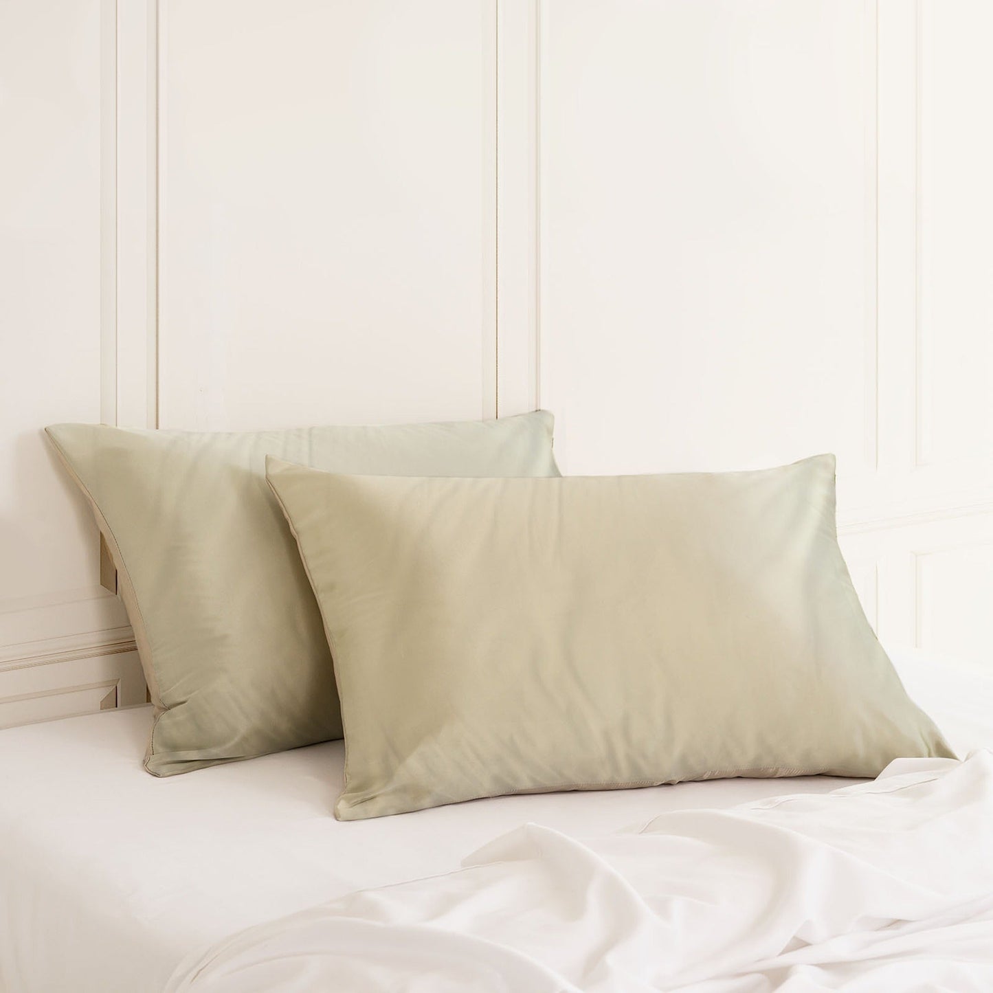Hypoallergenic Mulberry Silk Pillowcase Twin Pack Soft and Comfortable