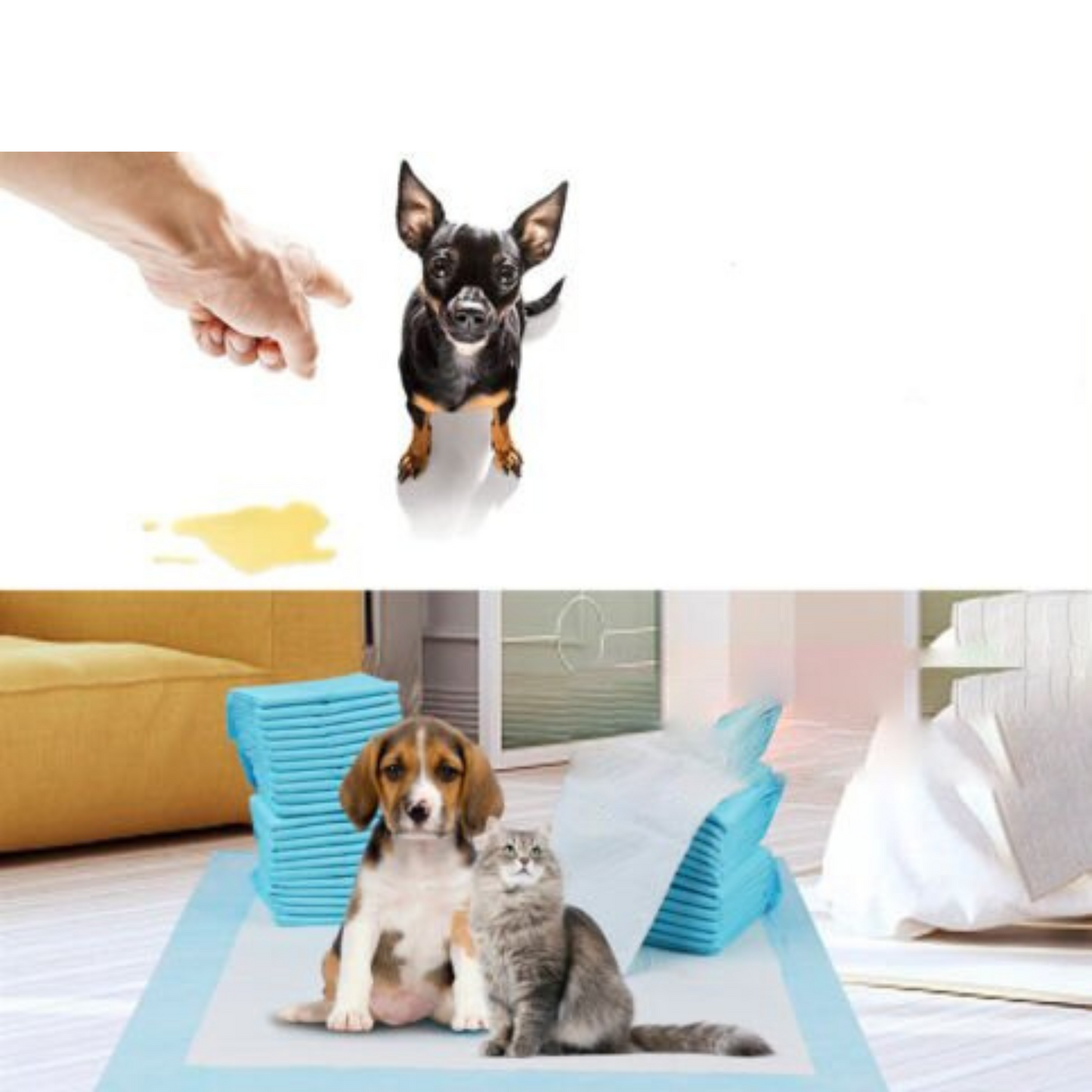 Super Absorbent Pet Toilet Training Pads 60x60cm for Puppy Dog Cat Indoor