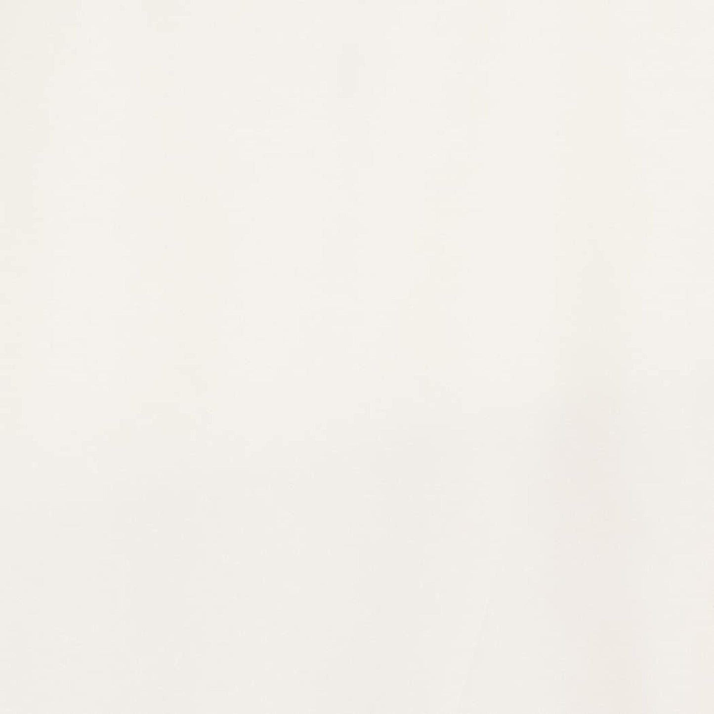 Polyester Lightweight Pleated Bed Skirt - Off White