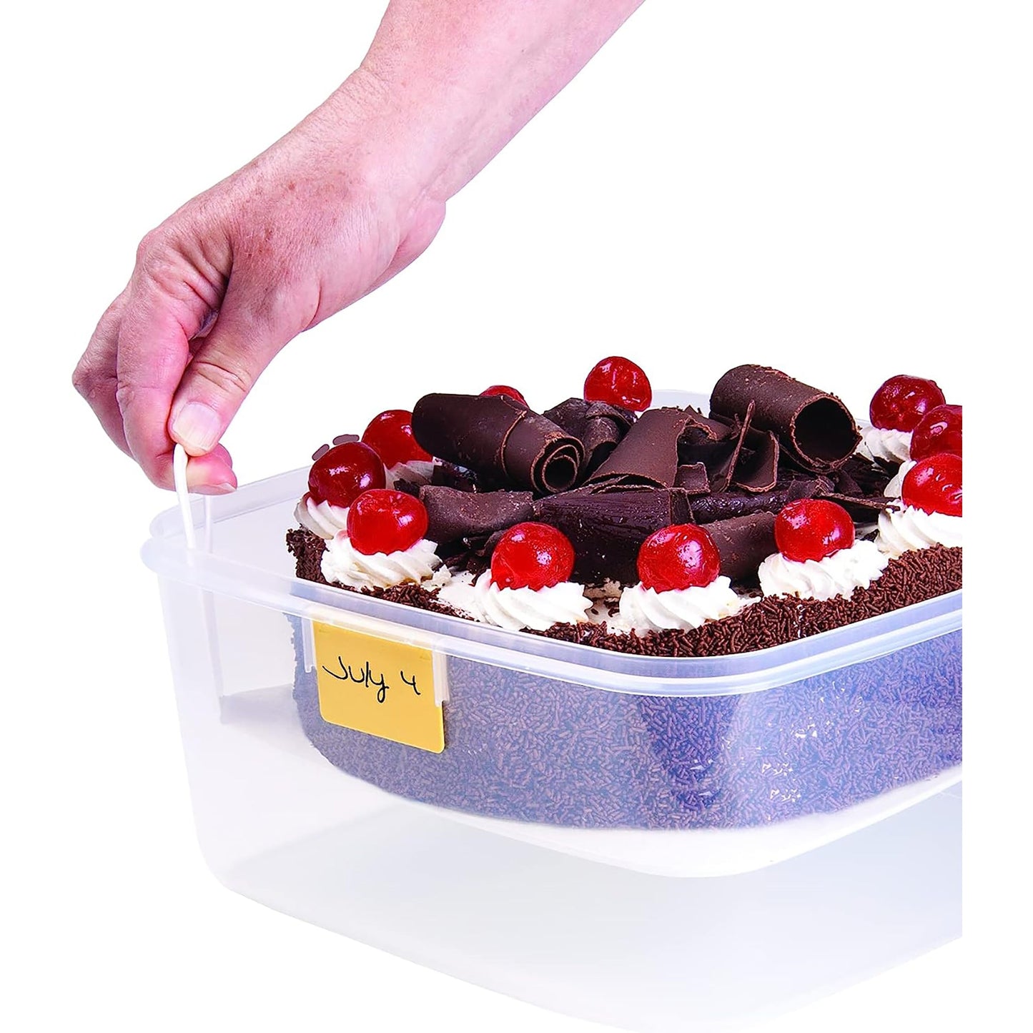 Cake Storage Box with Lifter for 23cm Cake Clear - 6 Litres