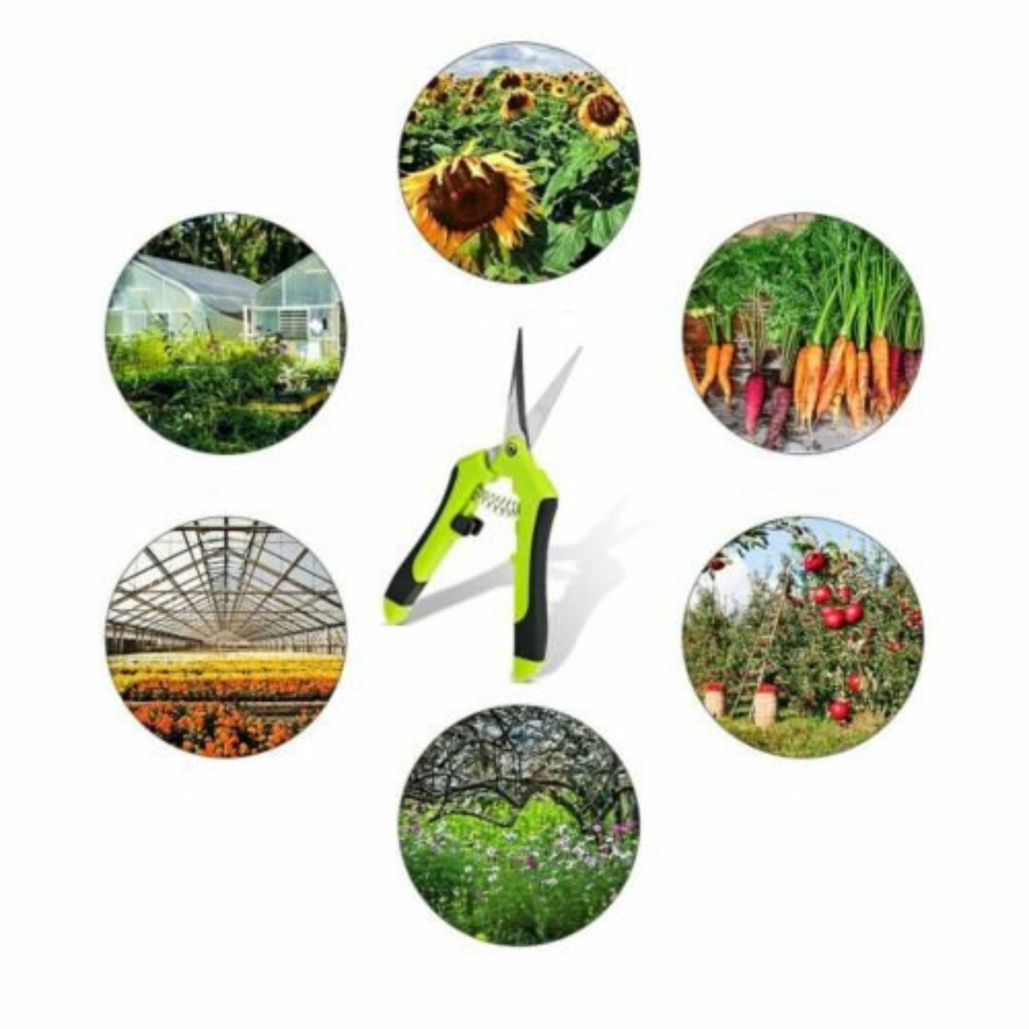 2pcs Pruning Shears Garden Plant Scissors for Trimming Trees Snips Branch