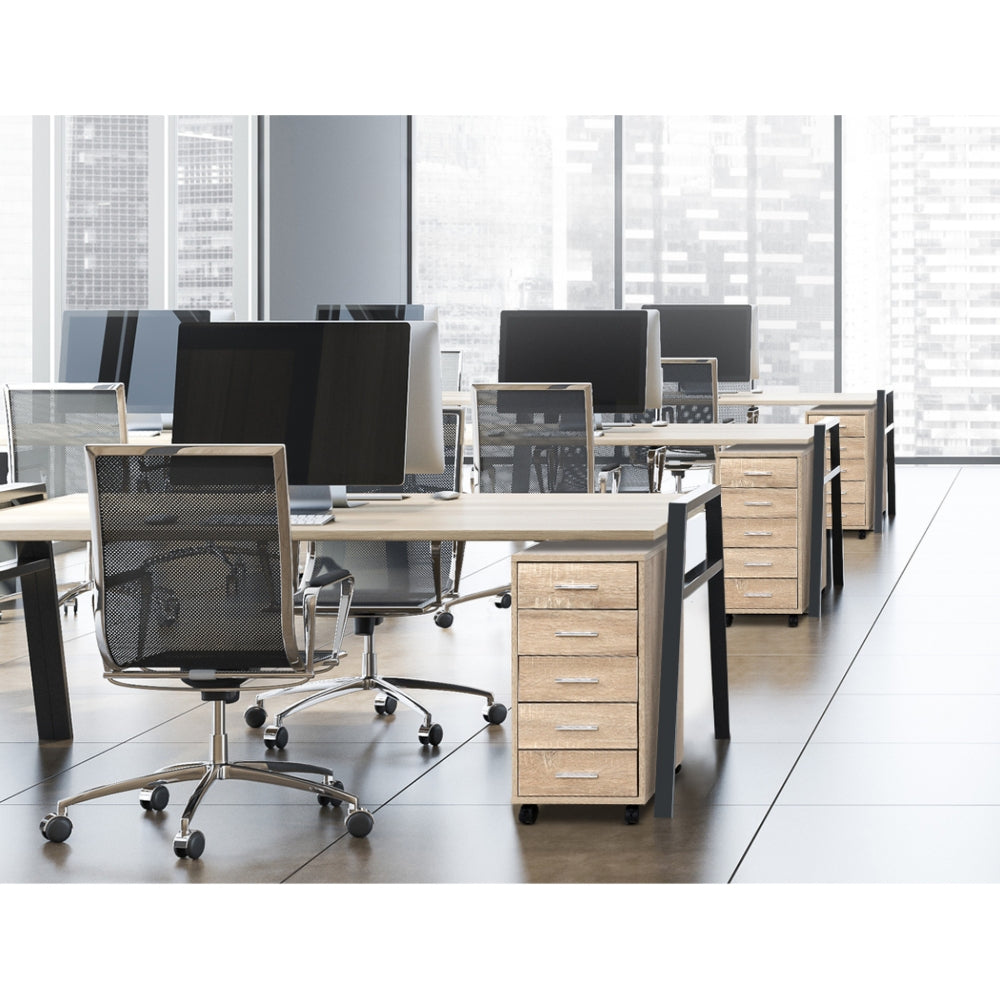 5 Drawer Filing Cabinet Storage Drawers Wood Study Office School File Cupboard