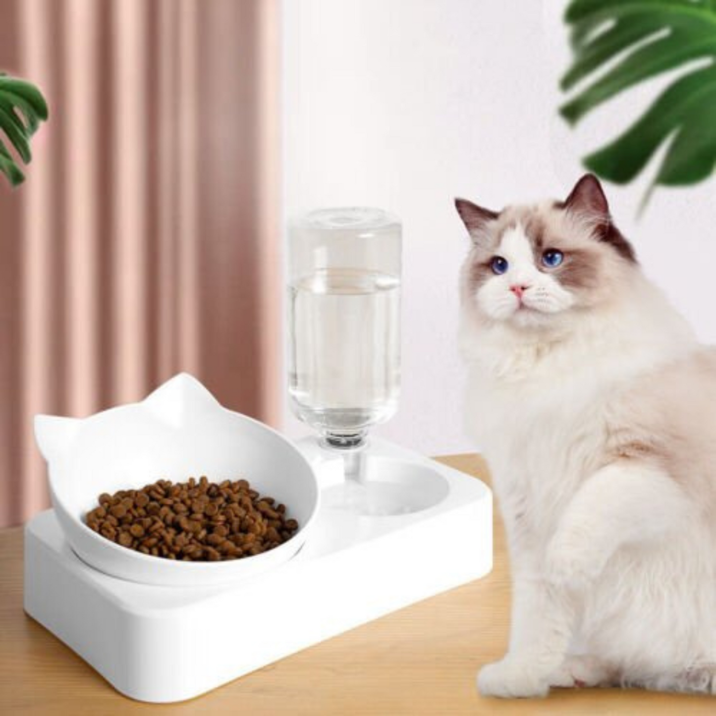 Automatic Water Feeder Pet Dog Cat Food Dispenser with Self Feeding Bowl Bottle