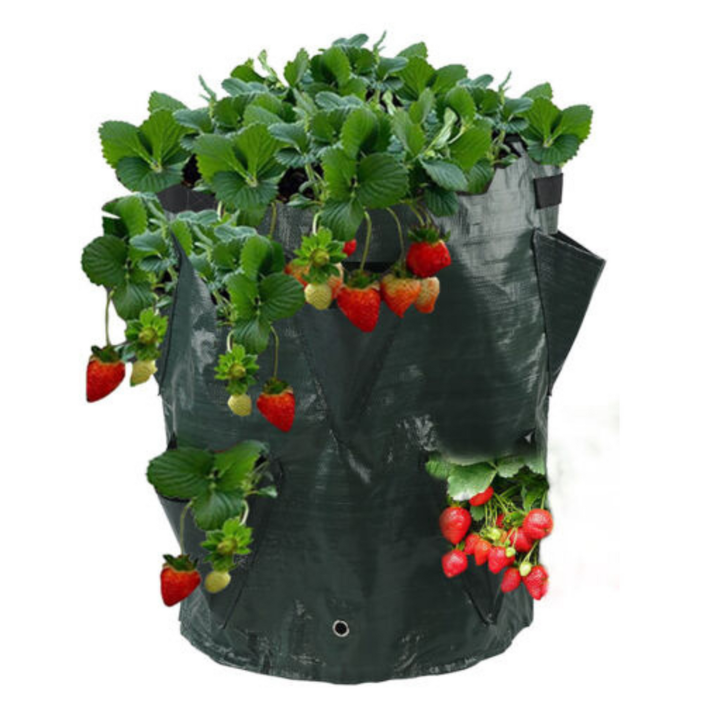 Hanging Flower Pouch Strawberry Planter Bags 3 Gallon Garden Planting Grow Bag