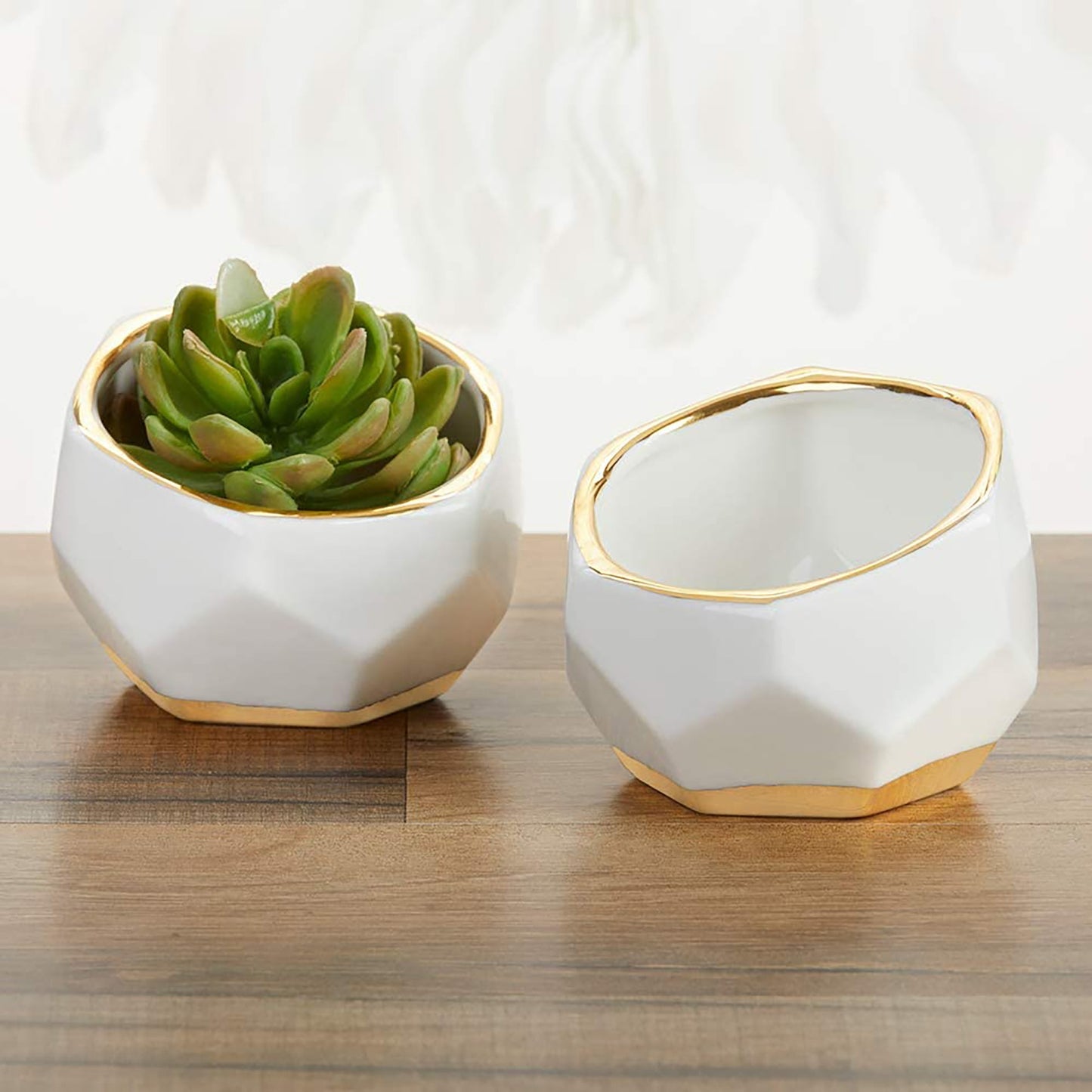 Geometric Ceramic Planters Decorative Bowls Set of 2 - White