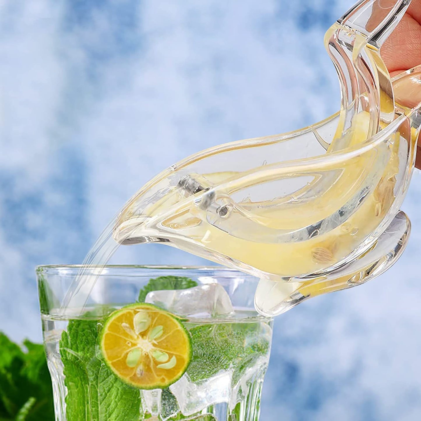 Portable Clear Acrylic Manual Lemon Slice Juicer Squeezer 2 Pcs