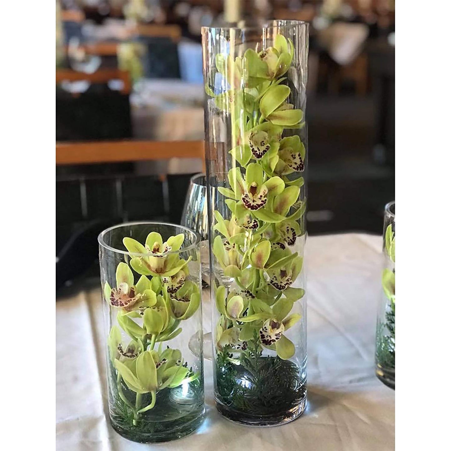 Tall Cylinder Glass Flower Centerpieces Home Accent Decor 3x16 Inches - Clear