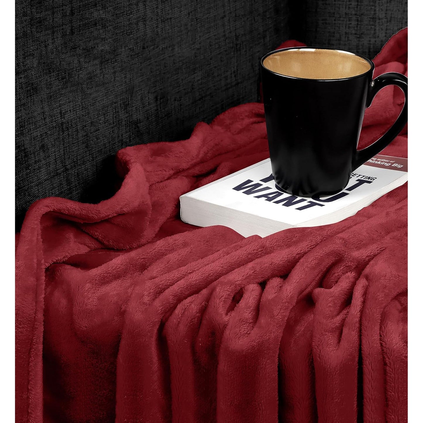 300GSM Microfibre Luxury Anti-Static Fuzzy Soft Fleece Blanket - Red
