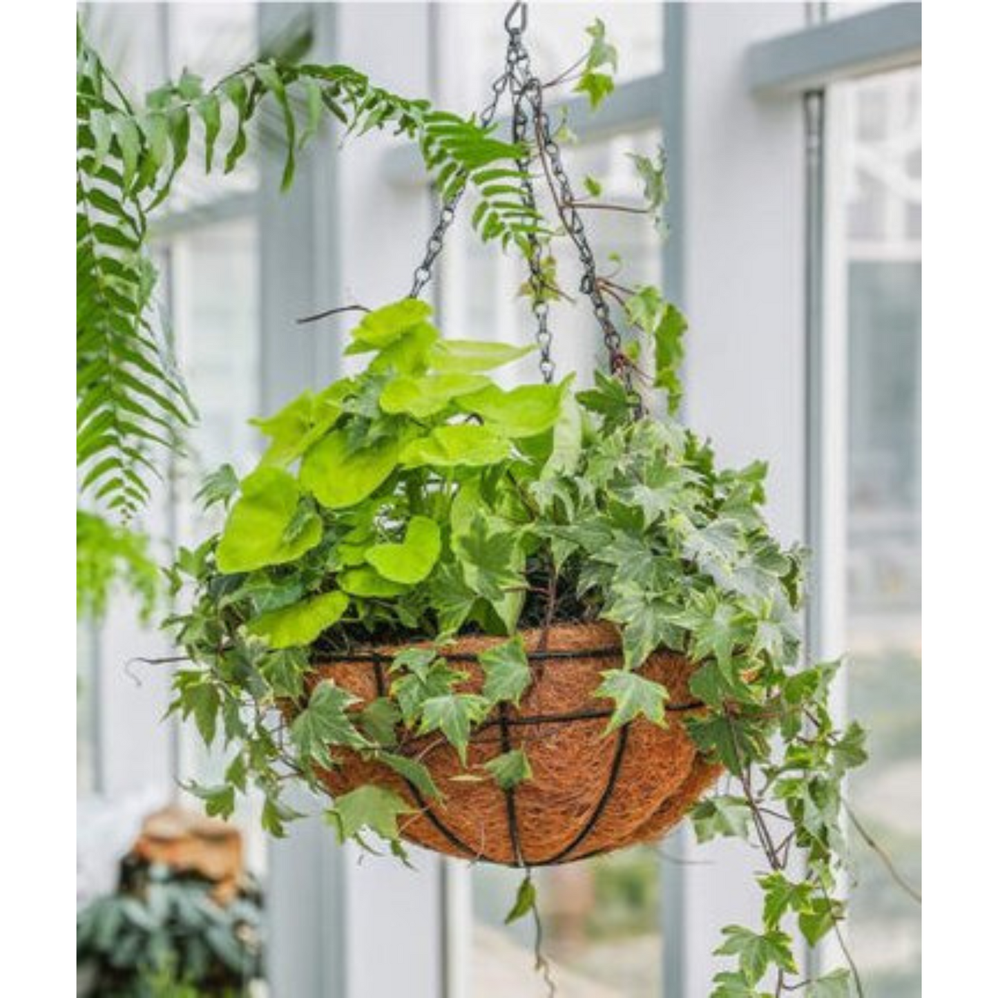 40cm Garden Hanging Planter Basket Coconut Fibre Lining with Strong Chain
