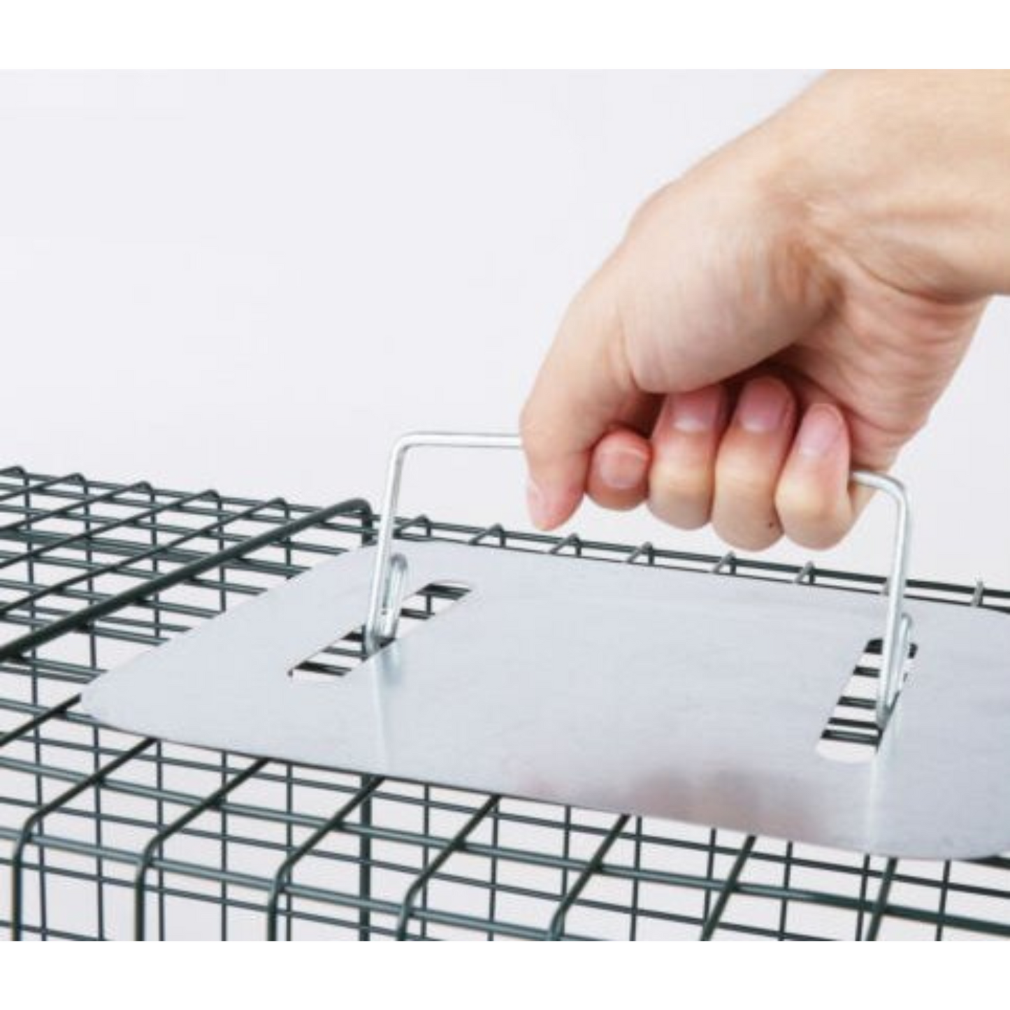 Humane Live Animal Trap Cage Steel Catch for Possum Fox Rat Cat Rabbit Bird