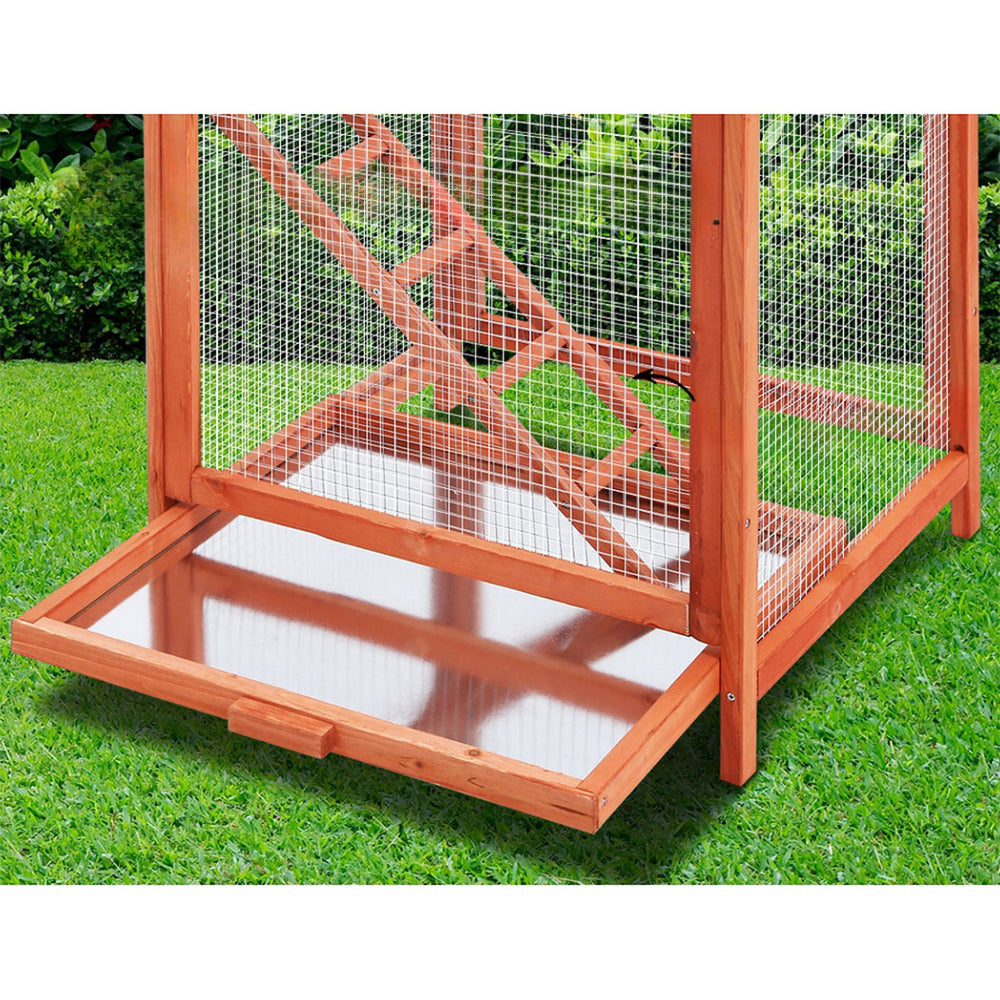 Bird Cage Wooden Pet Aviary Large Carrier Travel Canary - XL