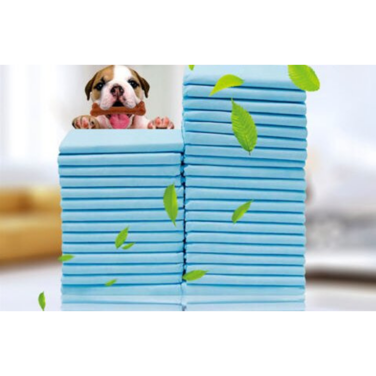 Super Absorbent Pet Toilet Training Pads 60x60cm for Puppy Dog Cat Indoor