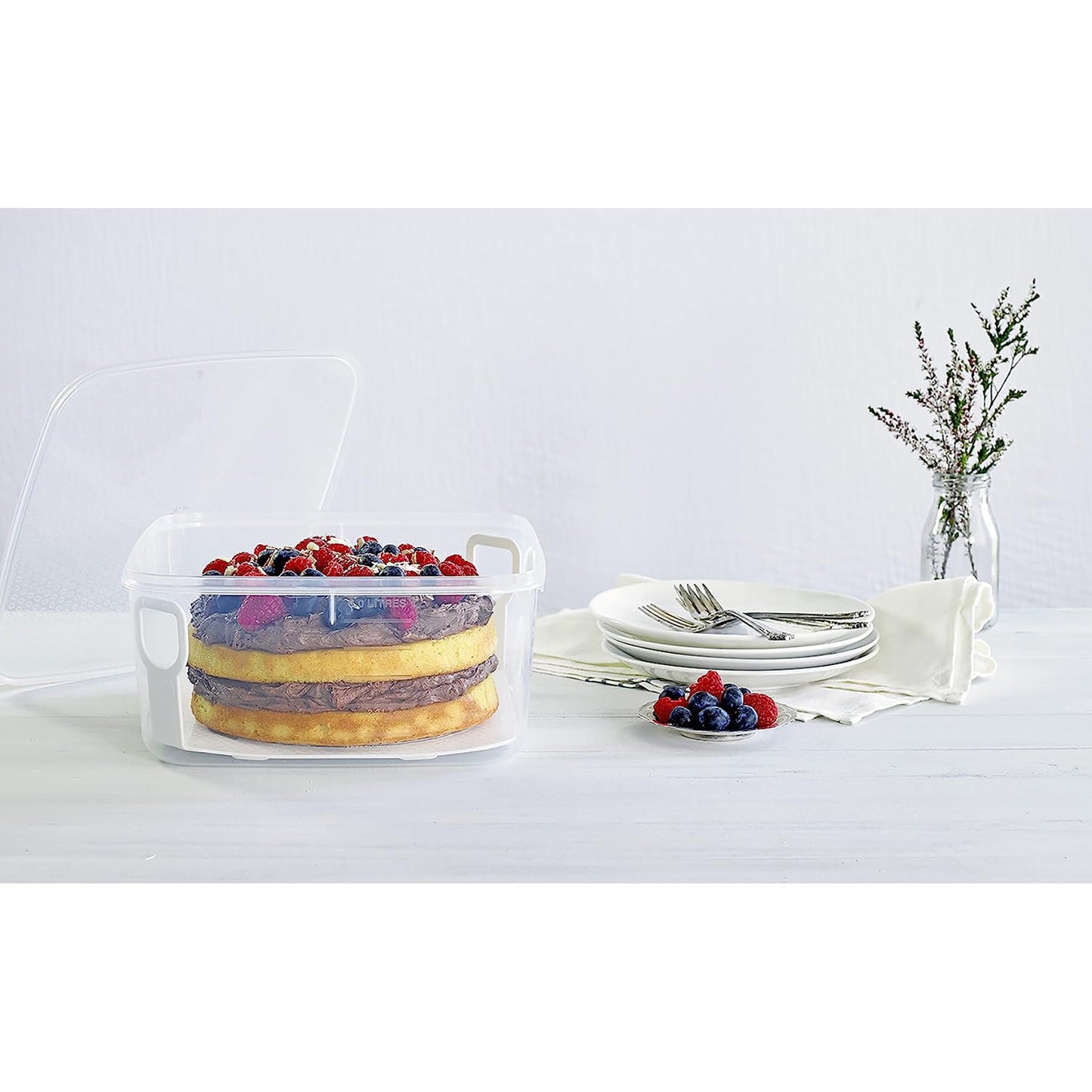 Cake Storage Box with Lifter for 23cm Cake Clear - 6 Litres