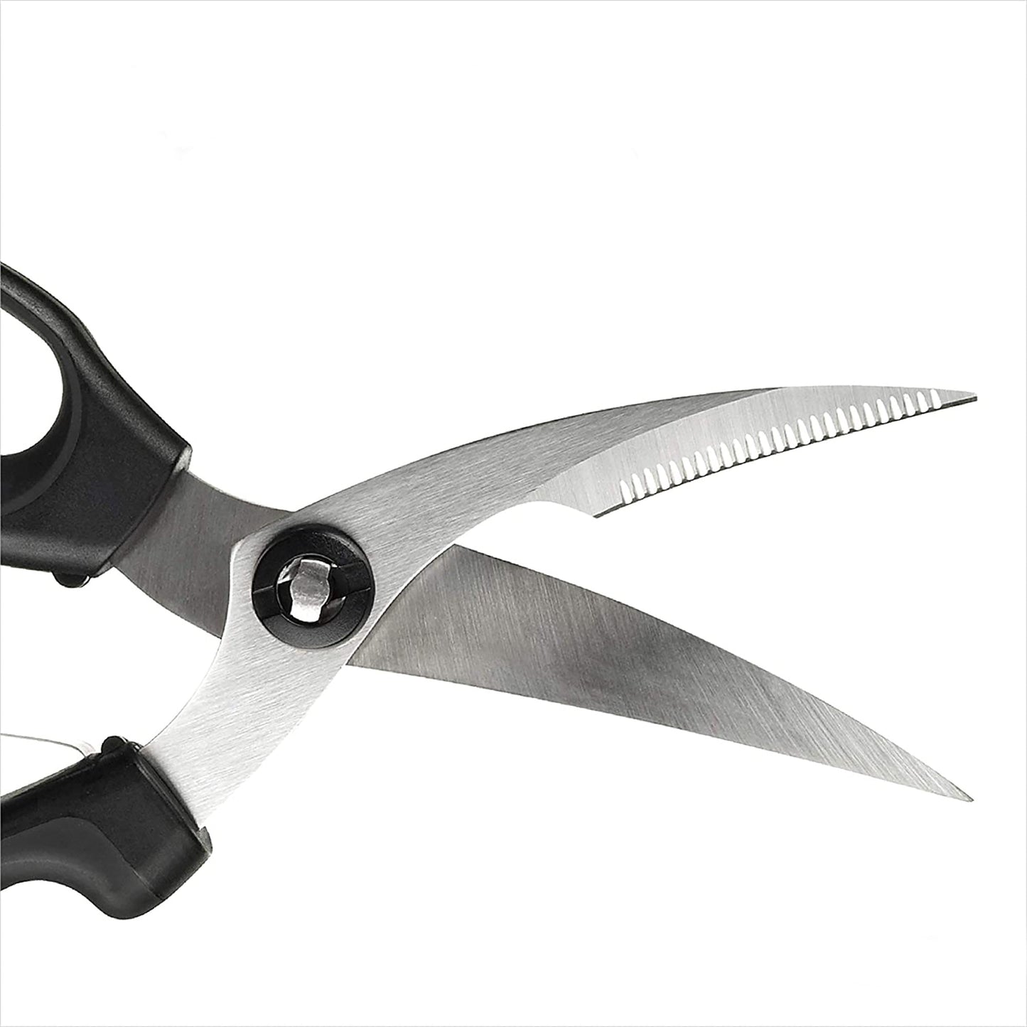 Curve Bladed Stainless Steel Poultry Shears - Black