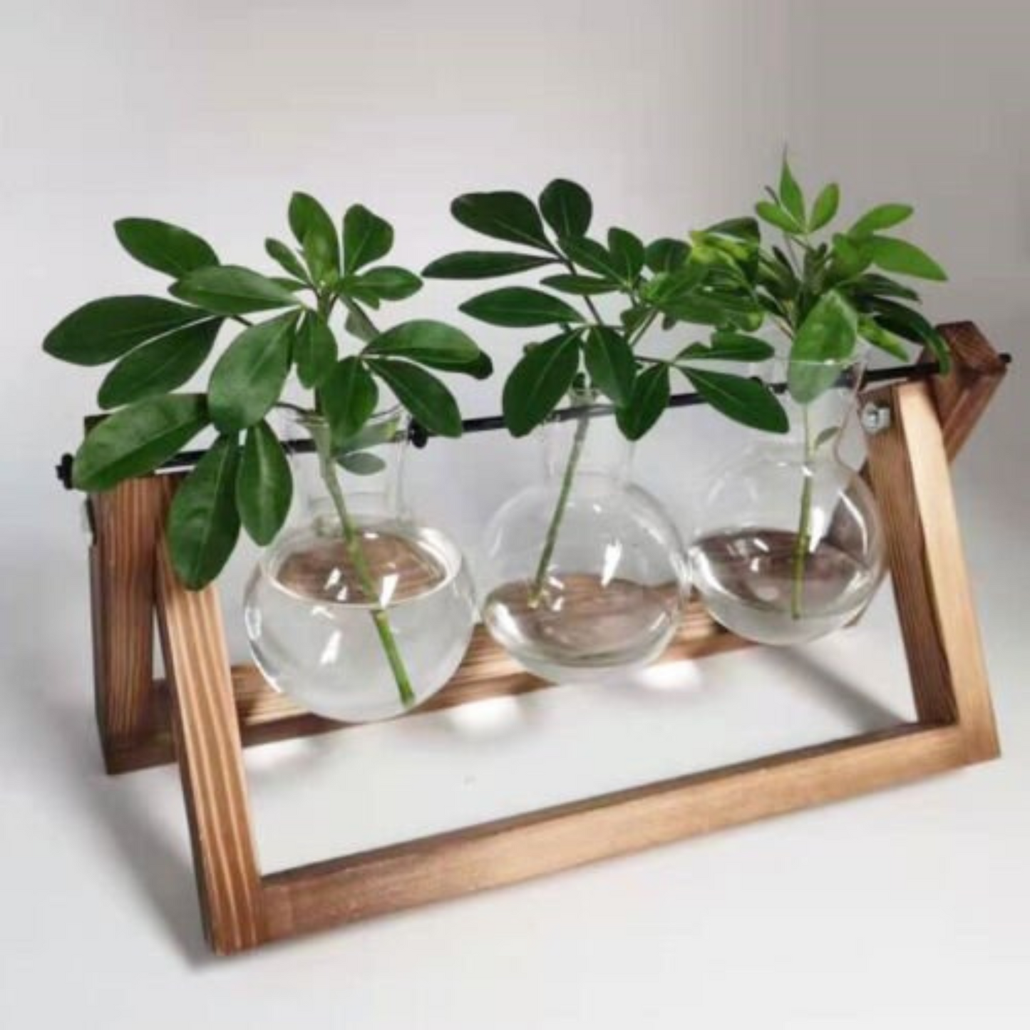 1pc Single Glass Vases on Wooden Stand Hanging Terrarium Container Hydroponics Pot Vase Decor